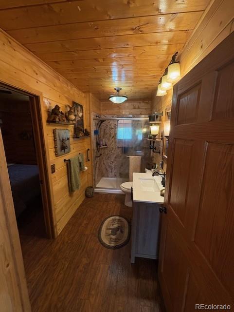 MLS Image #8 for 36  hilltop drive,walden, Colorado