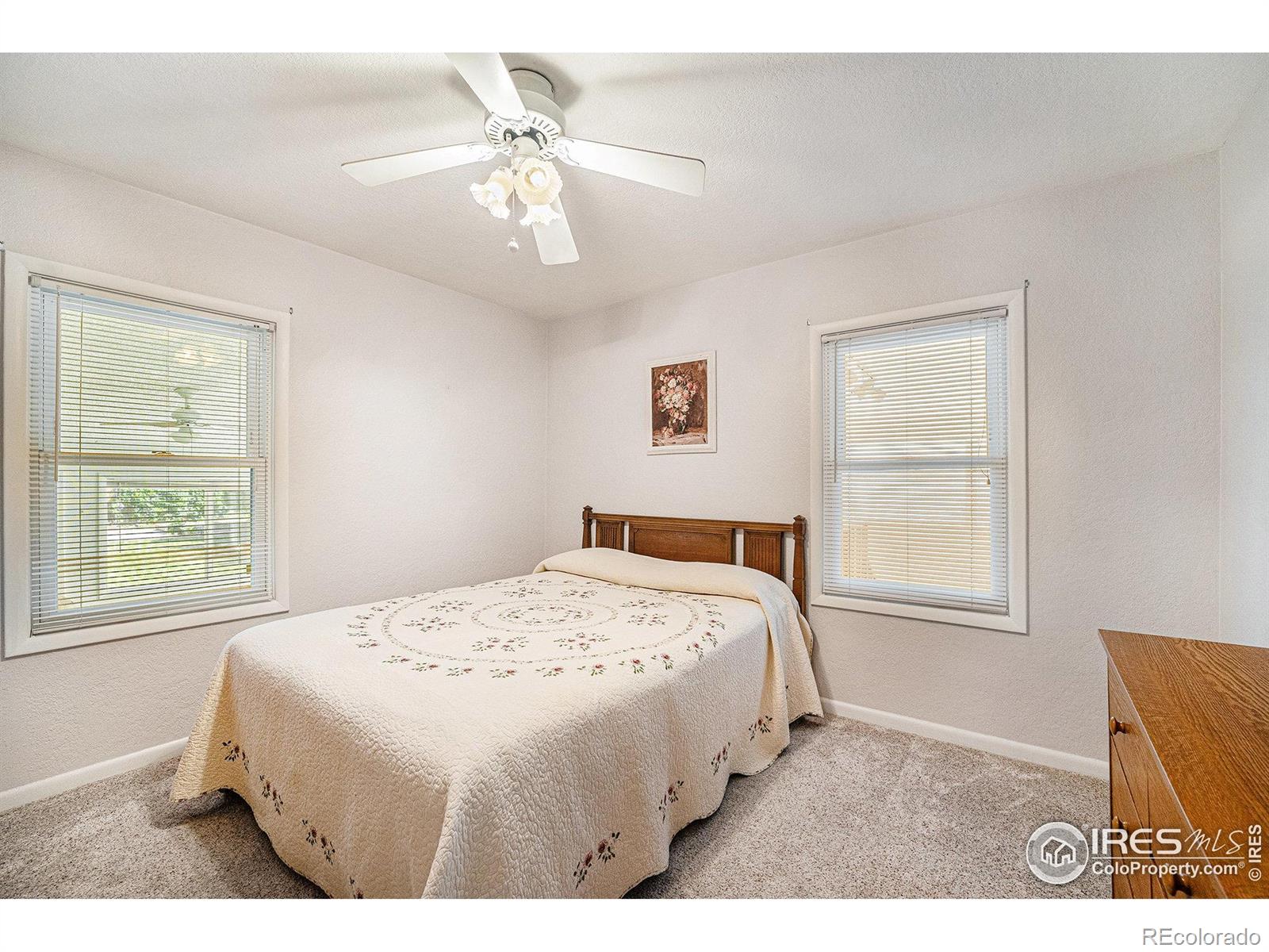 MLS Image #12 for 1275  walnut street,brighton, Colorado