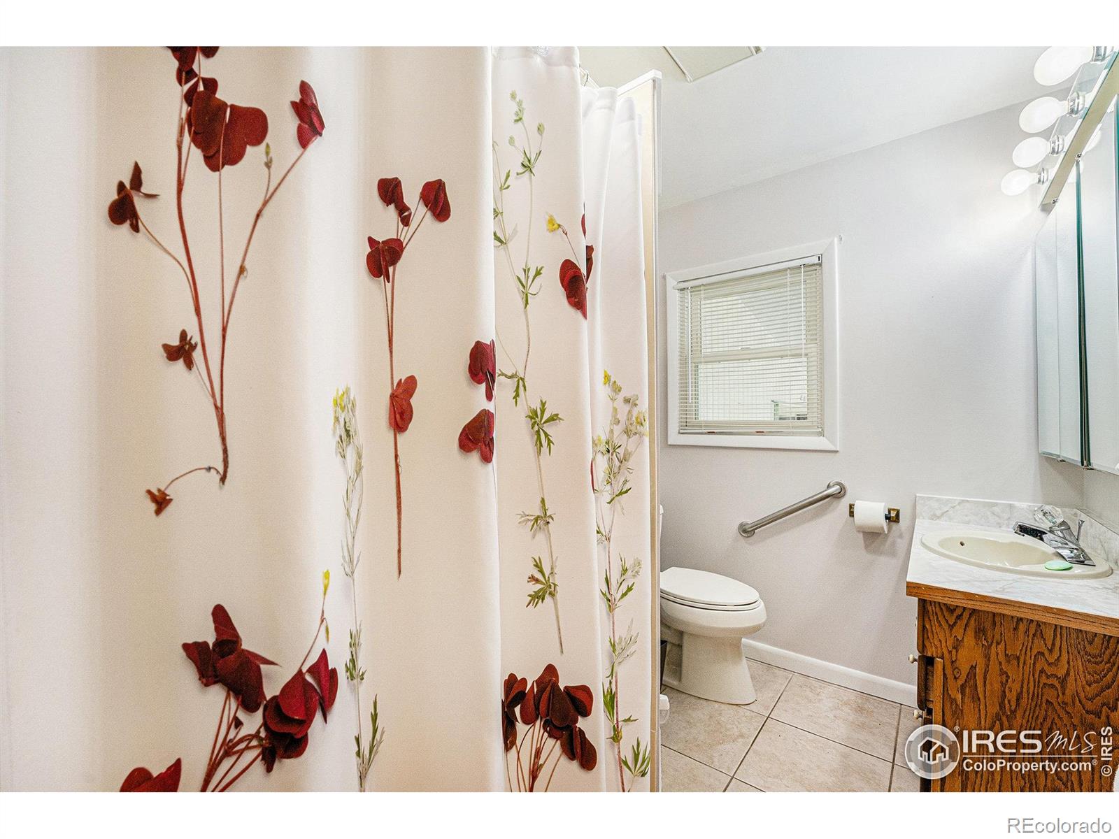 MLS Image #13 for 1275  walnut street,brighton, Colorado