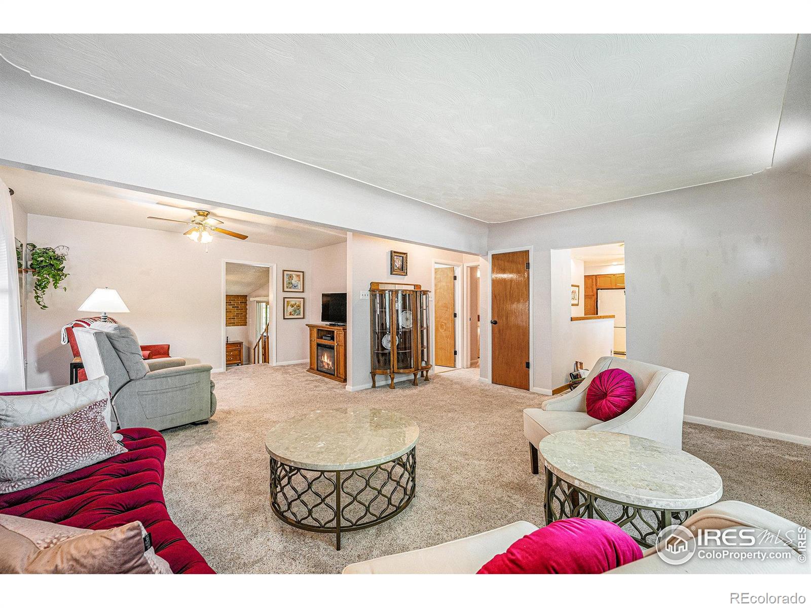 MLS Image #3 for 1275  walnut street,brighton, Colorado
