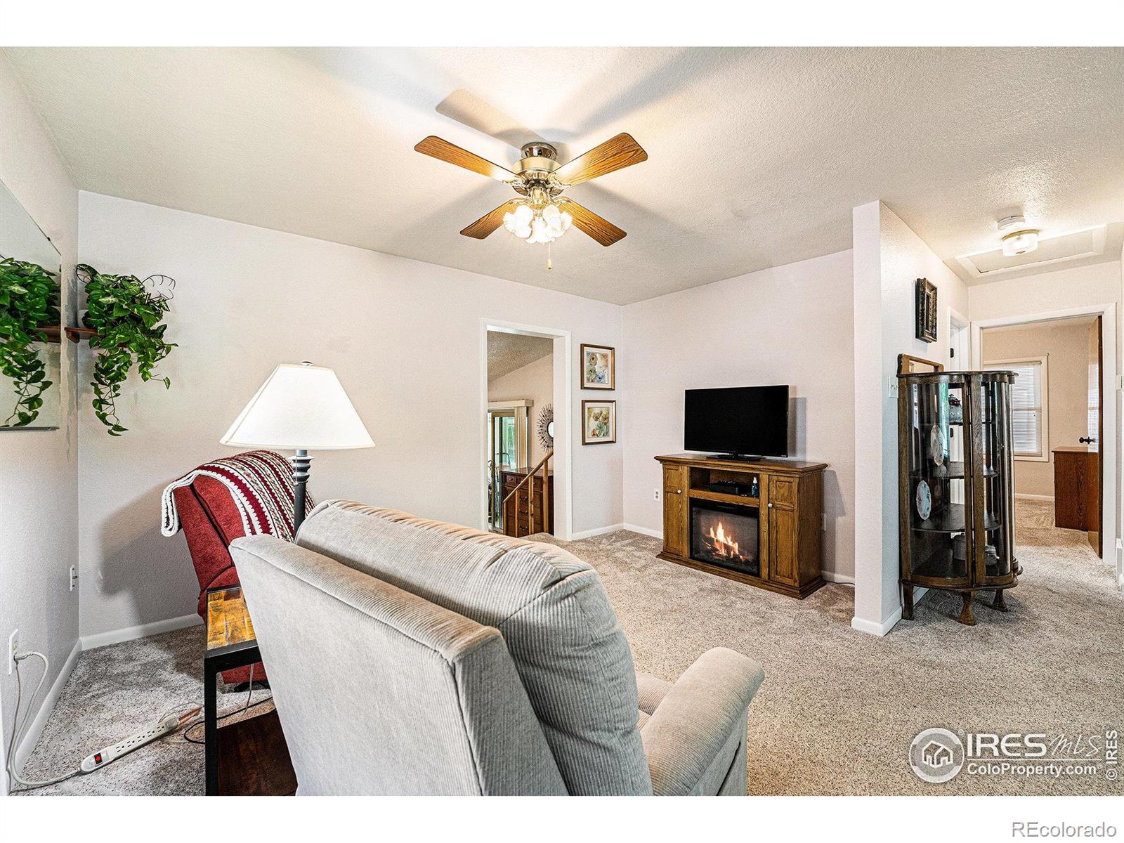 MLS Image #5 for 1275  walnut street,brighton, Colorado