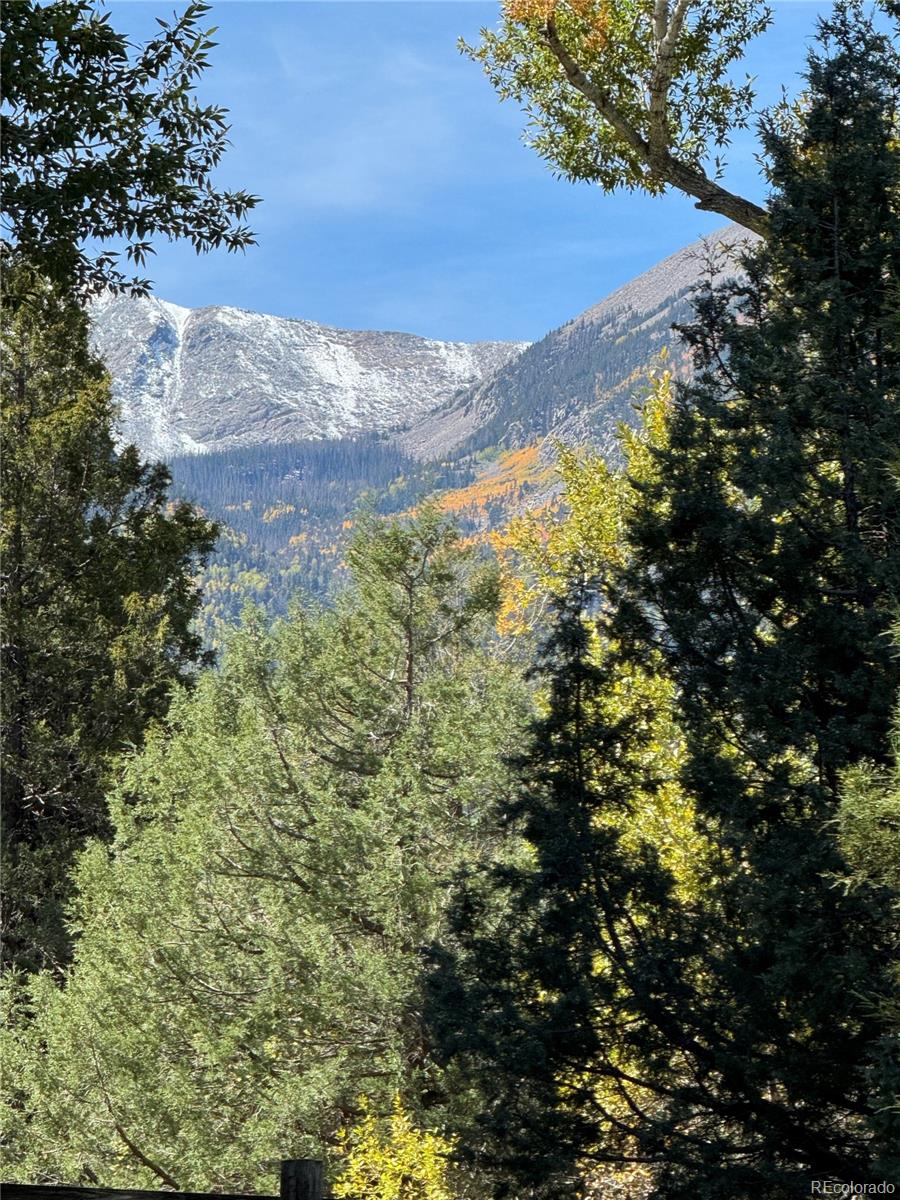 MLS Image #47 for 1638  county road 46 ,howard, Colorado