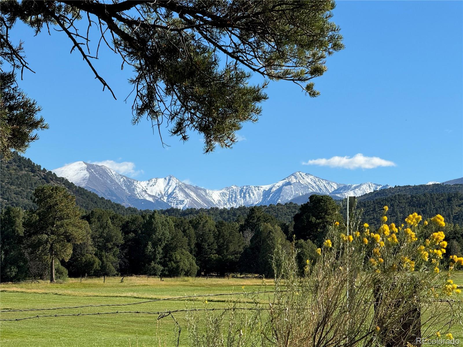 MLS Image #48 for 1638  county road 46 ,howard, Colorado