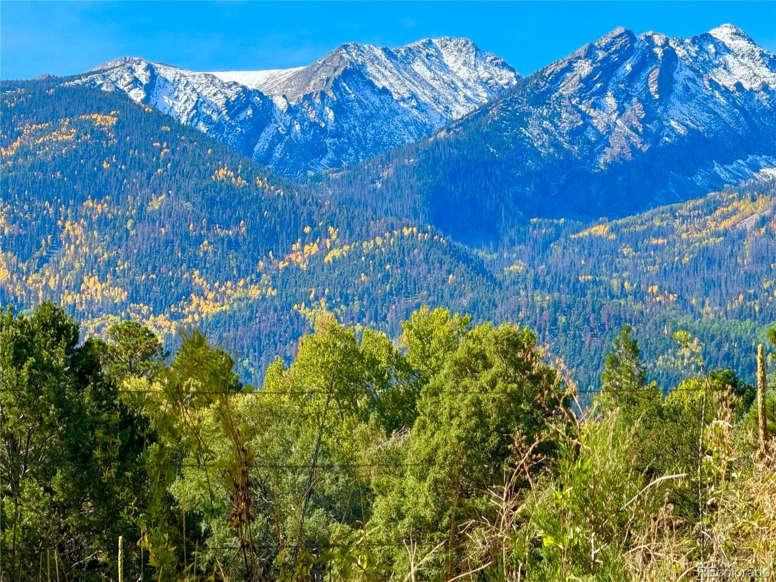 MLS Image #49 for 1638  county road 46 ,howard, Colorado