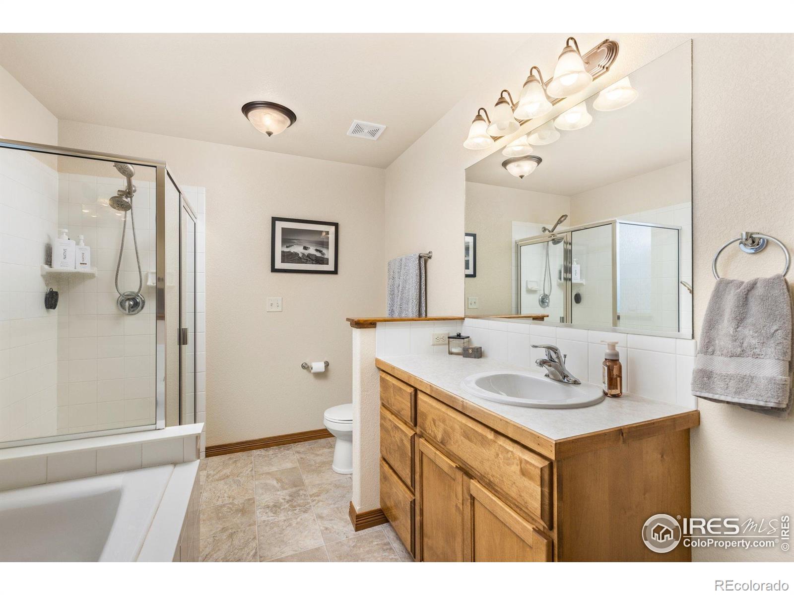 MLS Image #20 for 6848  pettigrew street,wellington, Colorado