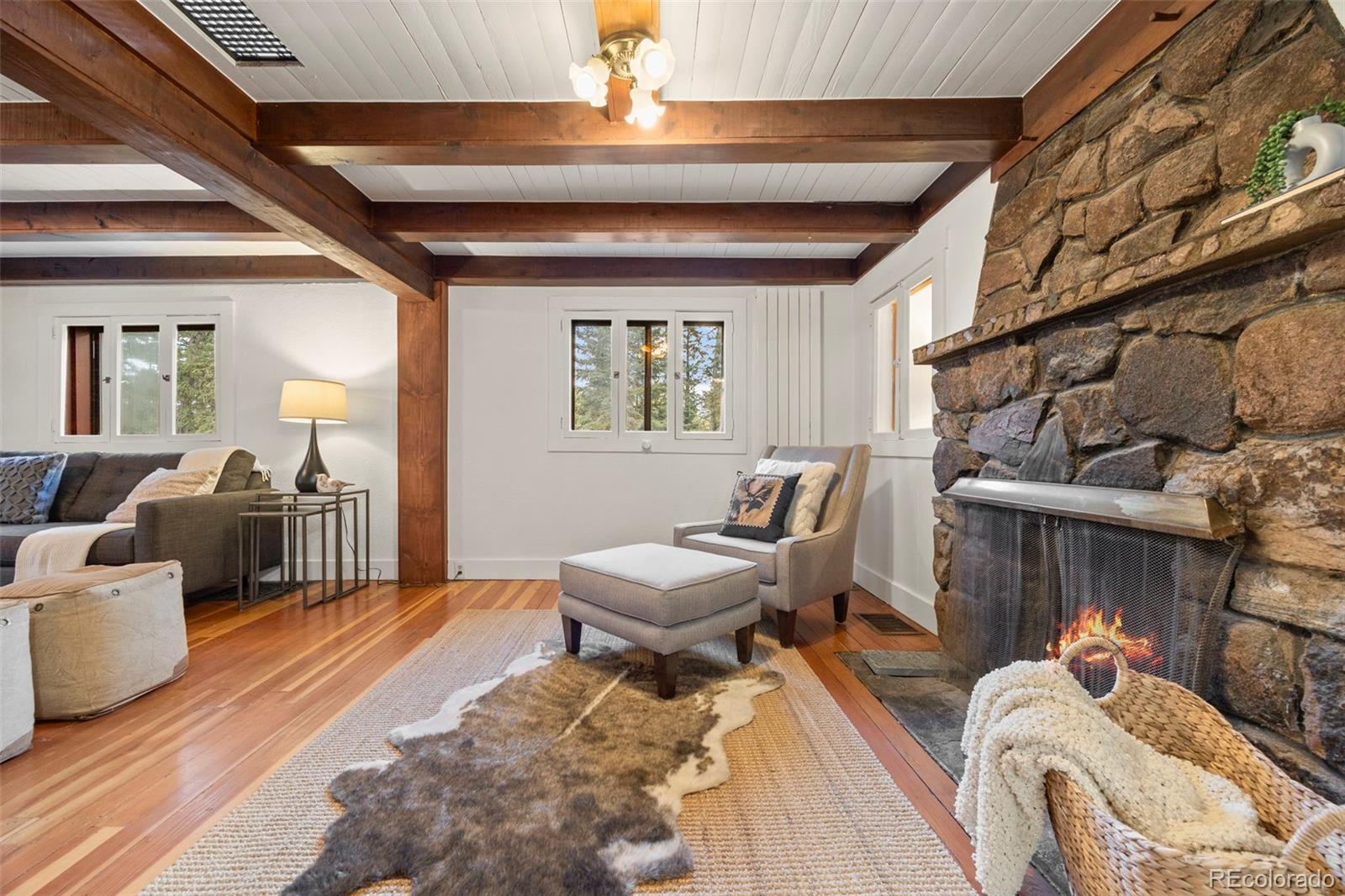 MLS Image #10 for 8821  blue creek road,evergreen, Colorado