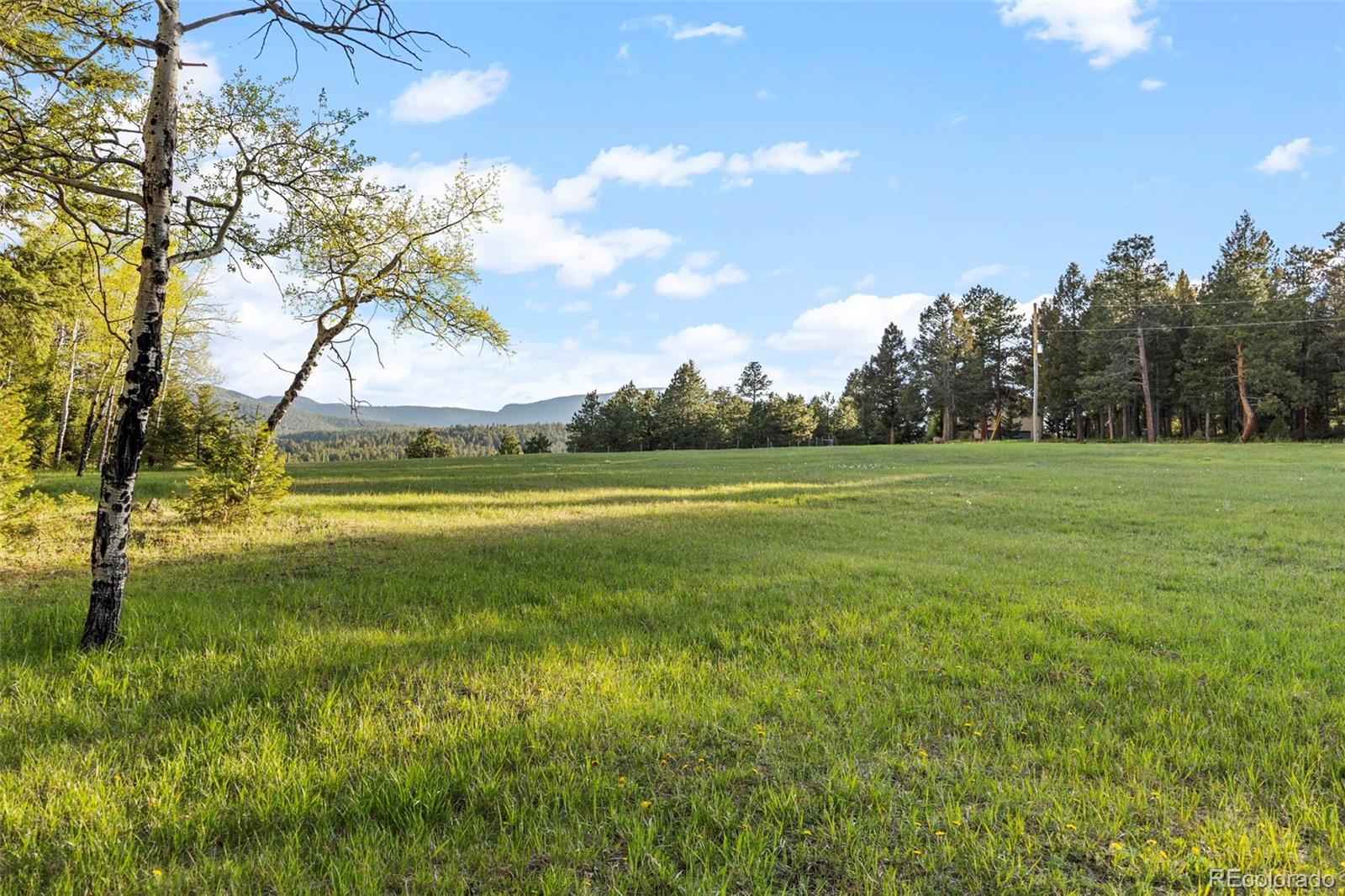 MLS Image #2 for 8821  blue creek road,evergreen, Colorado