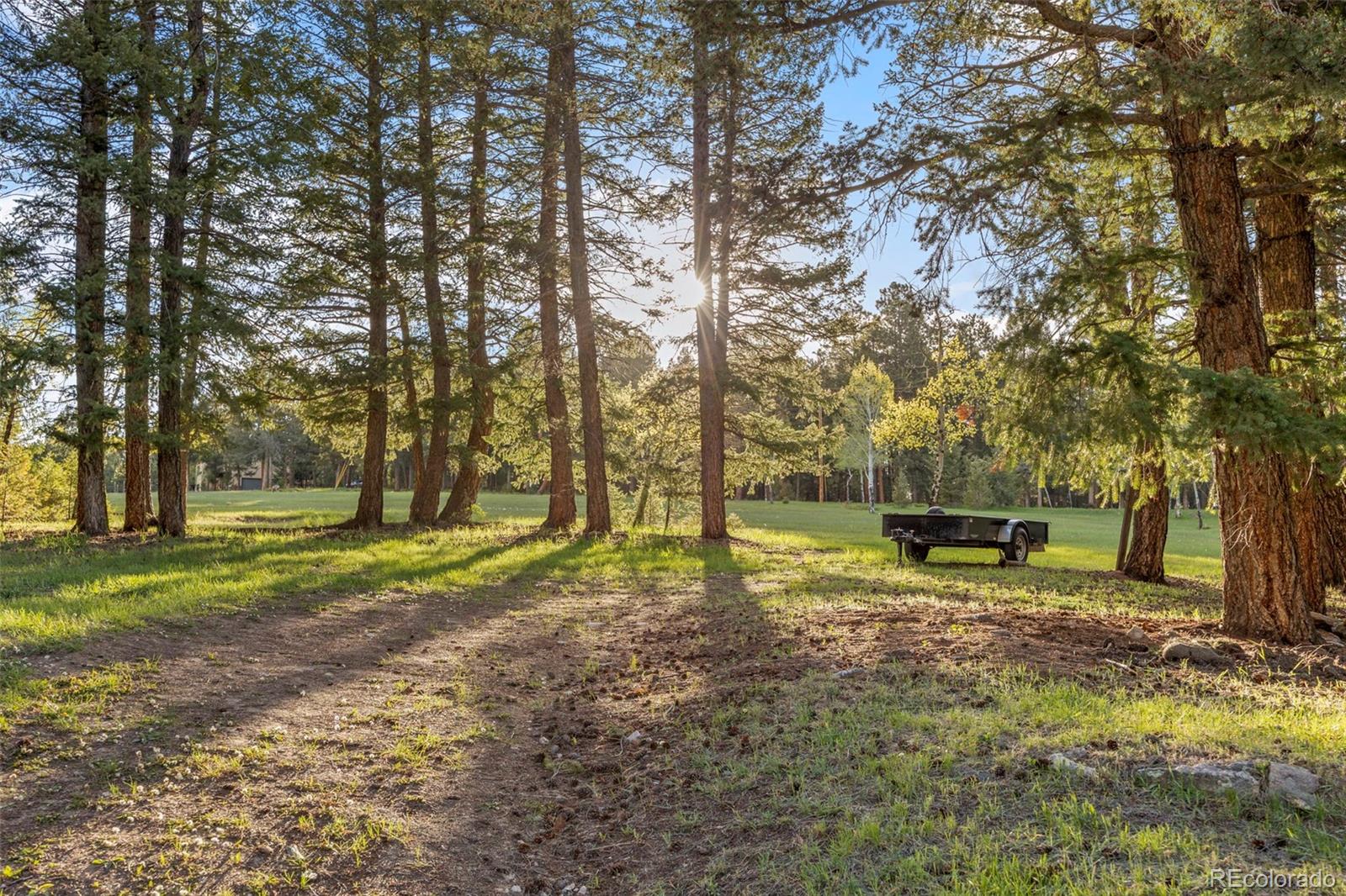 MLS Image #3 for 8821  blue creek road,evergreen, Colorado