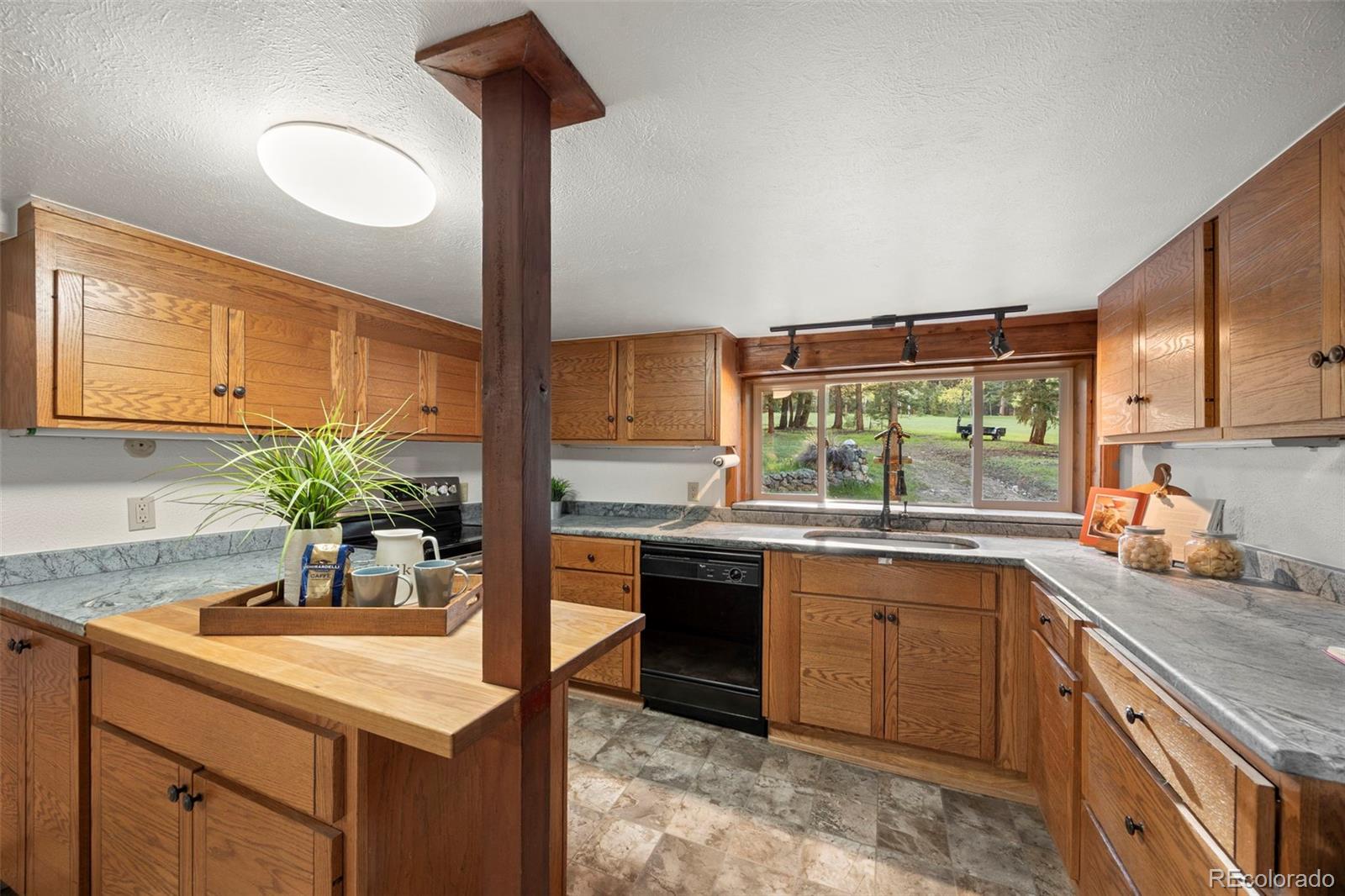 MLS Image #6 for 8821  blue creek road,evergreen, Colorado