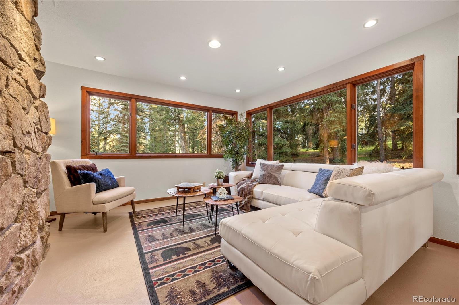 MLS Image #7 for 8821  blue creek road,evergreen, Colorado