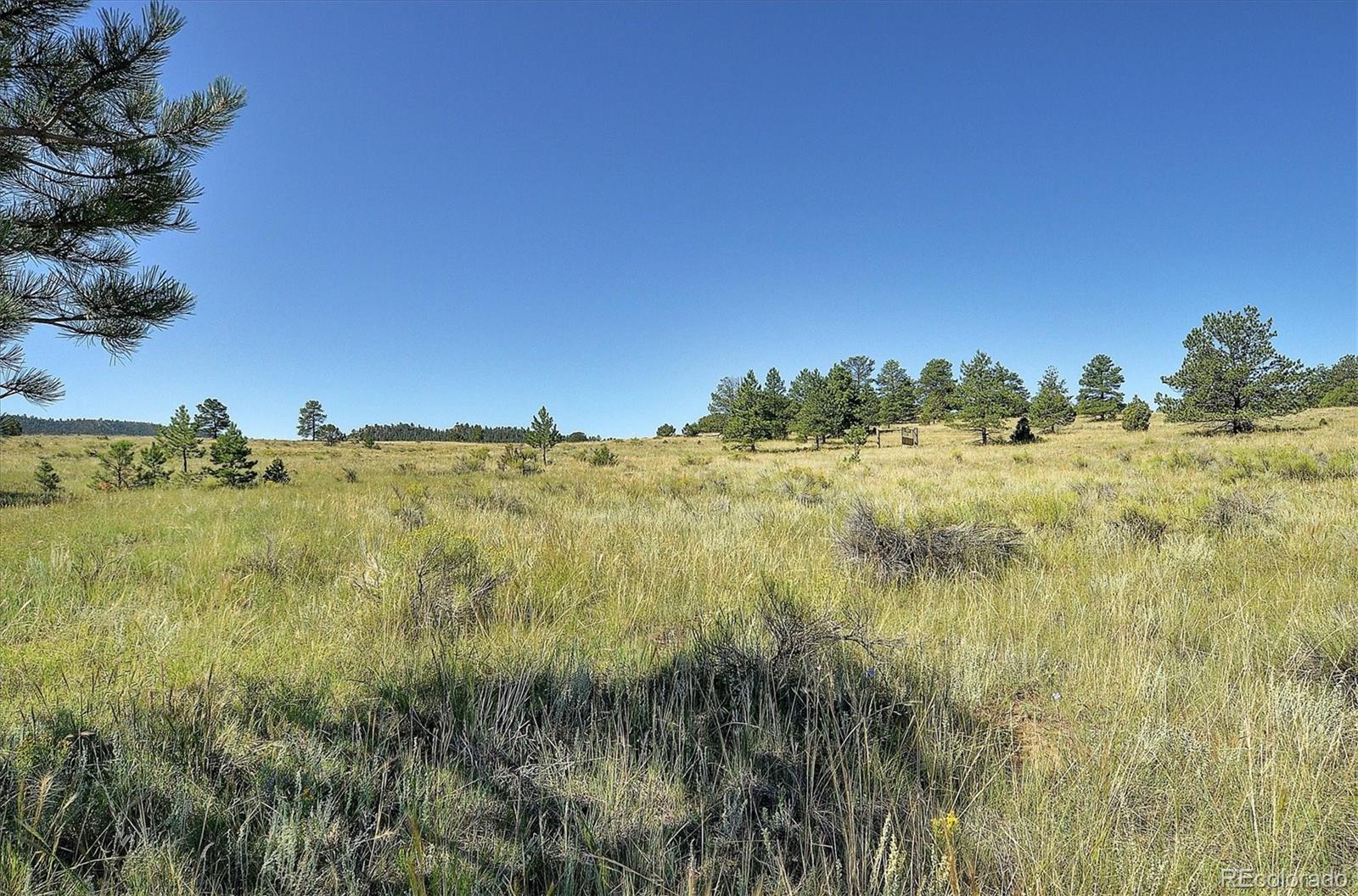 MLS Image #30 for 1106  hull ave ,westcliffe, Colorado