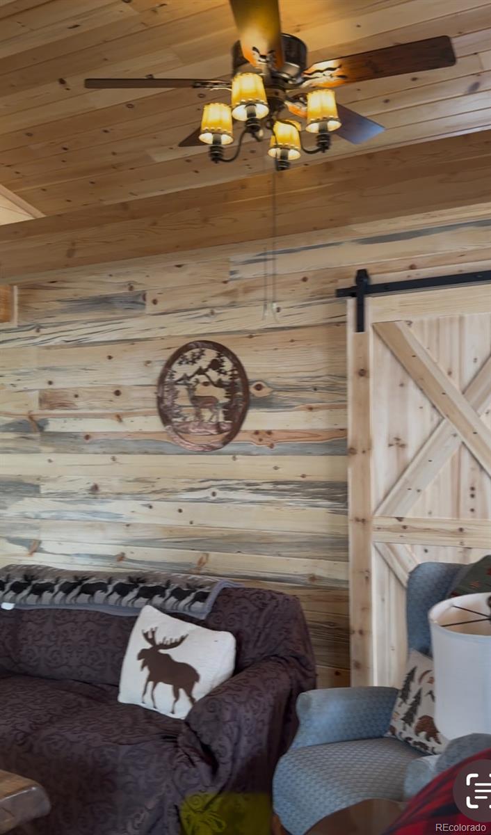 MLS Image #8 for 1106  hull ave ,westcliffe, Colorado