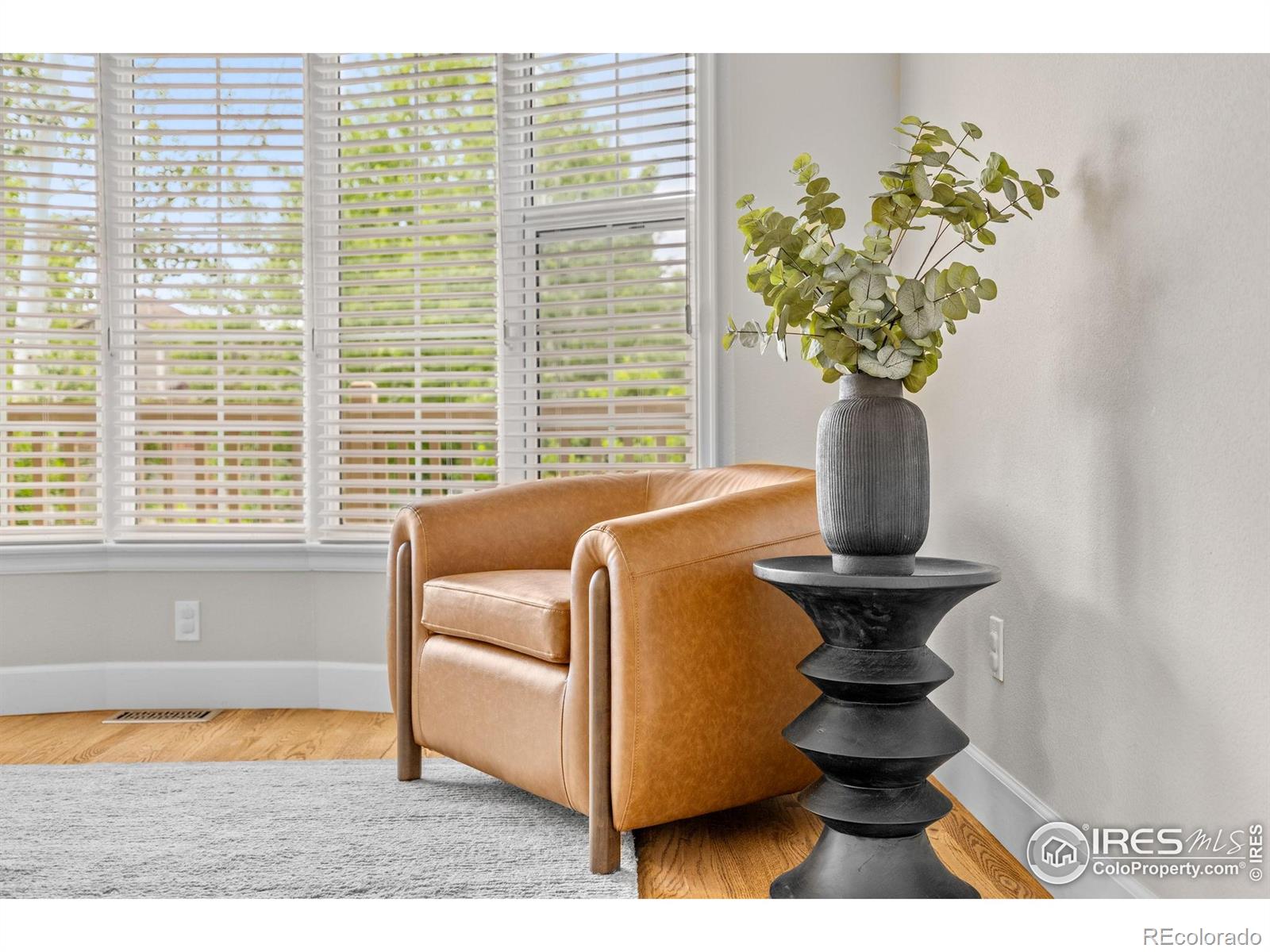 MLS Image #4 for 5348  wild dunes court,boulder, Colorado