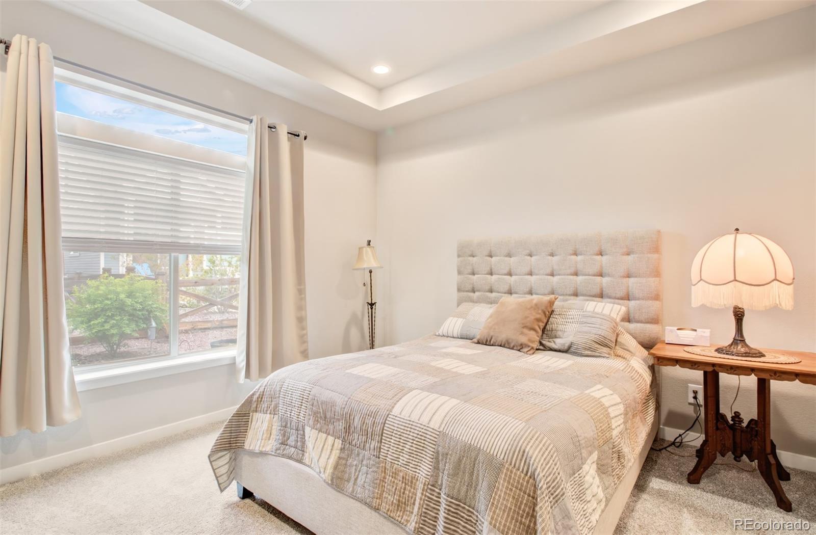 MLS Image #19 for 6374  syre point,colorado springs, Colorado