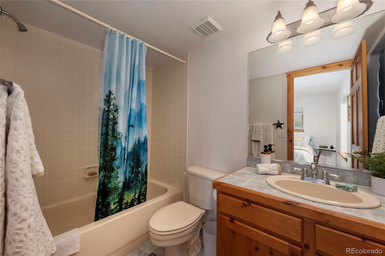 MLS Image #13 for 507  gcr 4980 ,grand lake, Colorado
