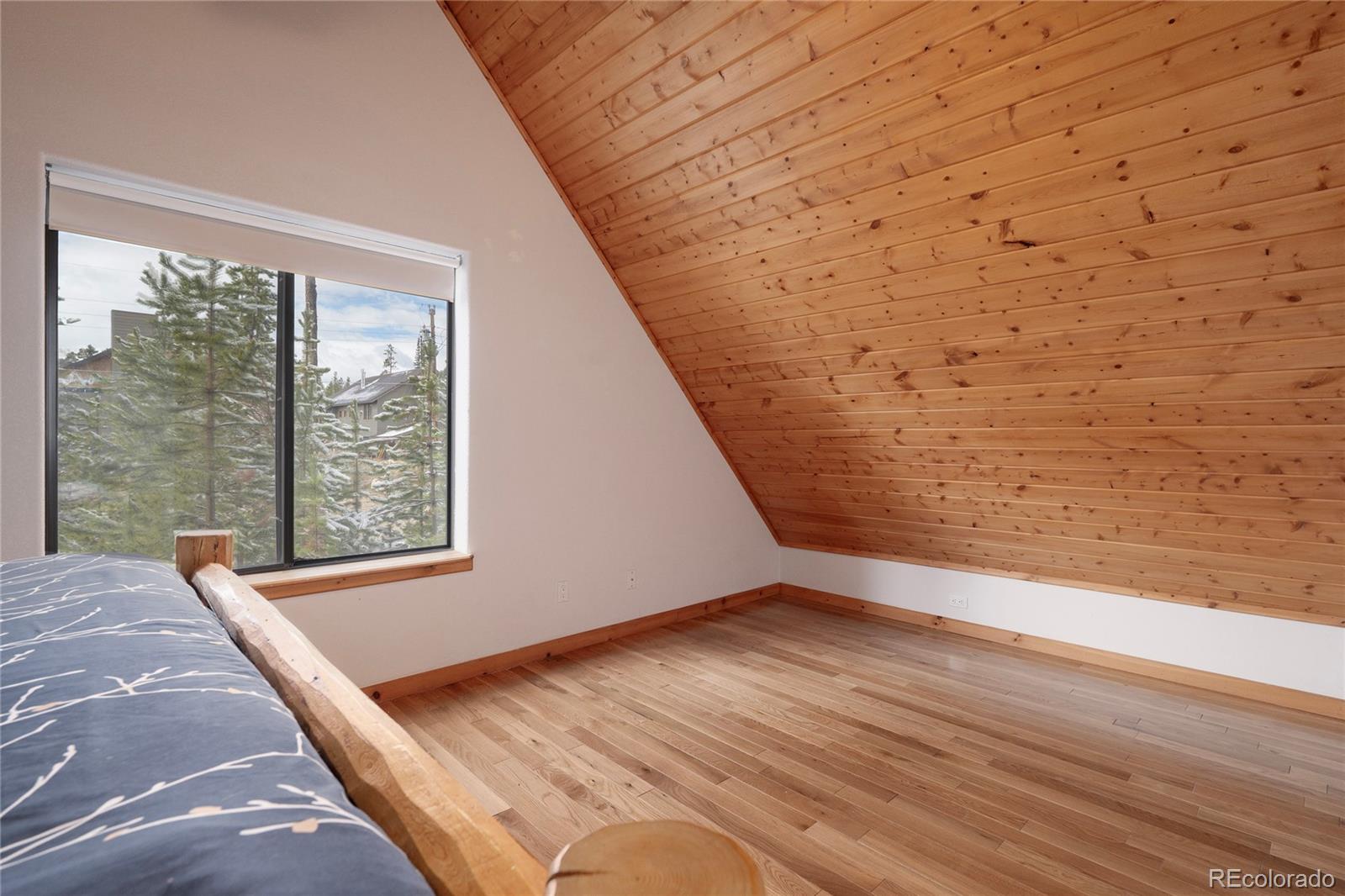 MLS Image #19 for 507  gcr 4980 ,grand lake, Colorado