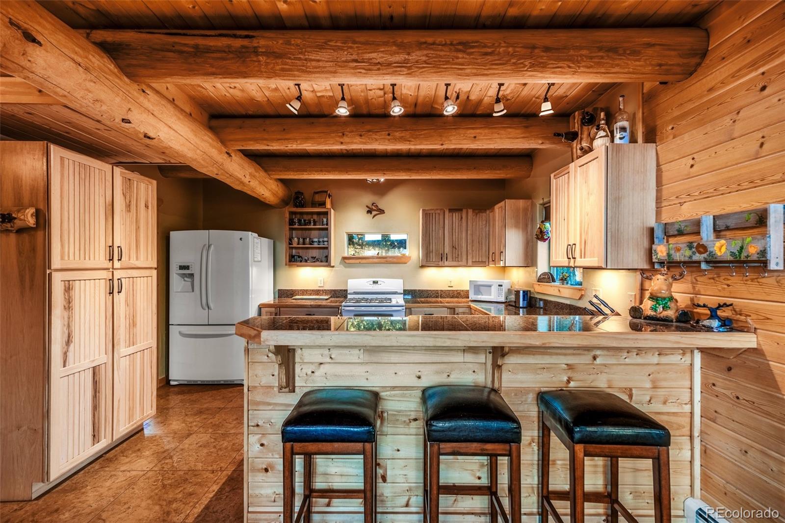 MLS Image #11 for 420  shetland circle,como, Colorado