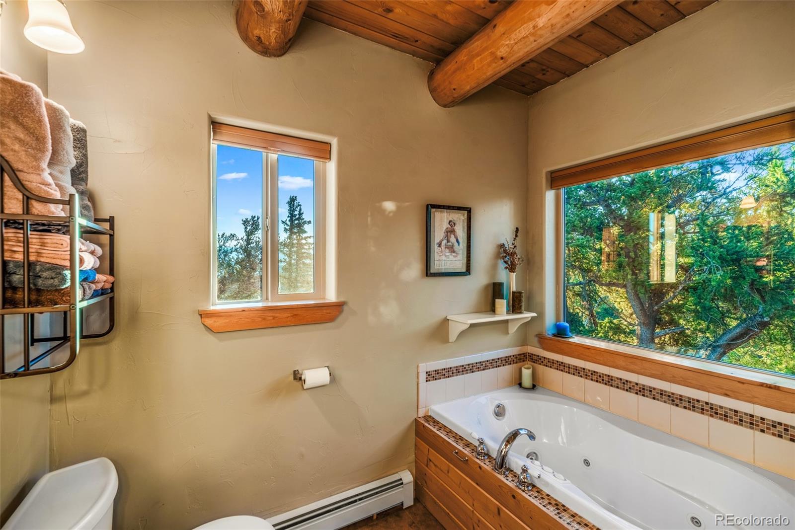 MLS Image #31 for 420  shetland circle,como, Colorado