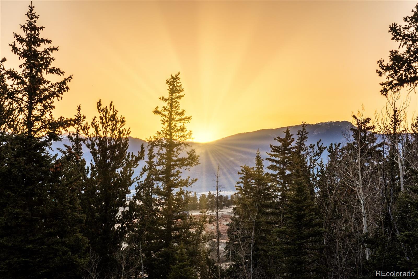 MLS Image #43 for 420  shetland circle,como, Colorado
