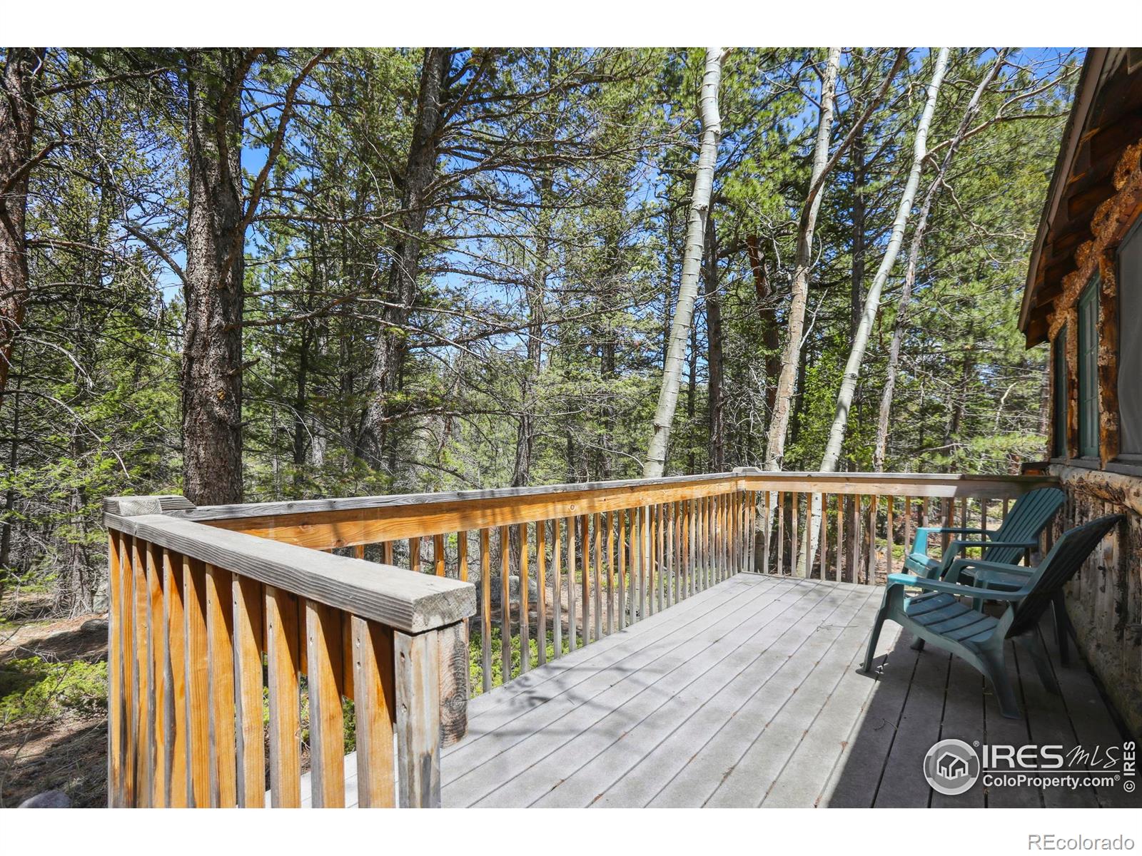 MLS Image #12 for 12991  peak to peak highway,allenspark, Colorado