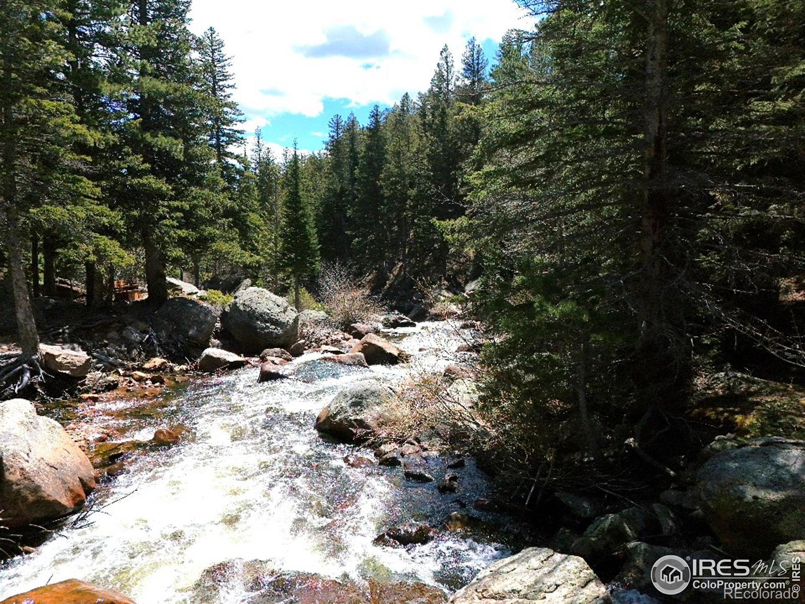 MLS Image #21 for 12991  peak to peak highway,allenspark, Colorado