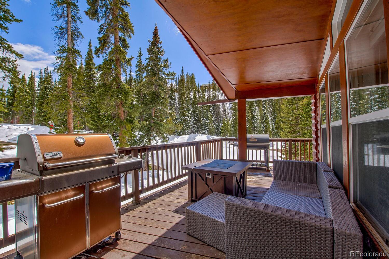 MLS Image #36 for 492  kimmes lane,breckenridge, Colorado