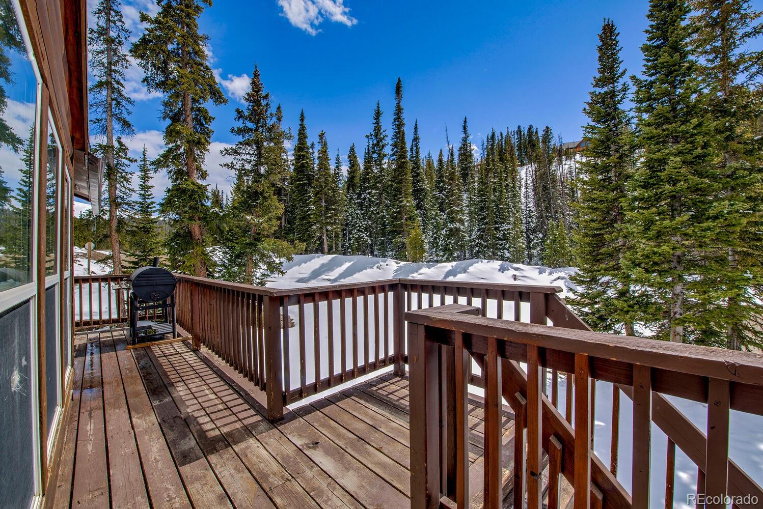MLS Image #39 for 492  kimmes lane,breckenridge, Colorado