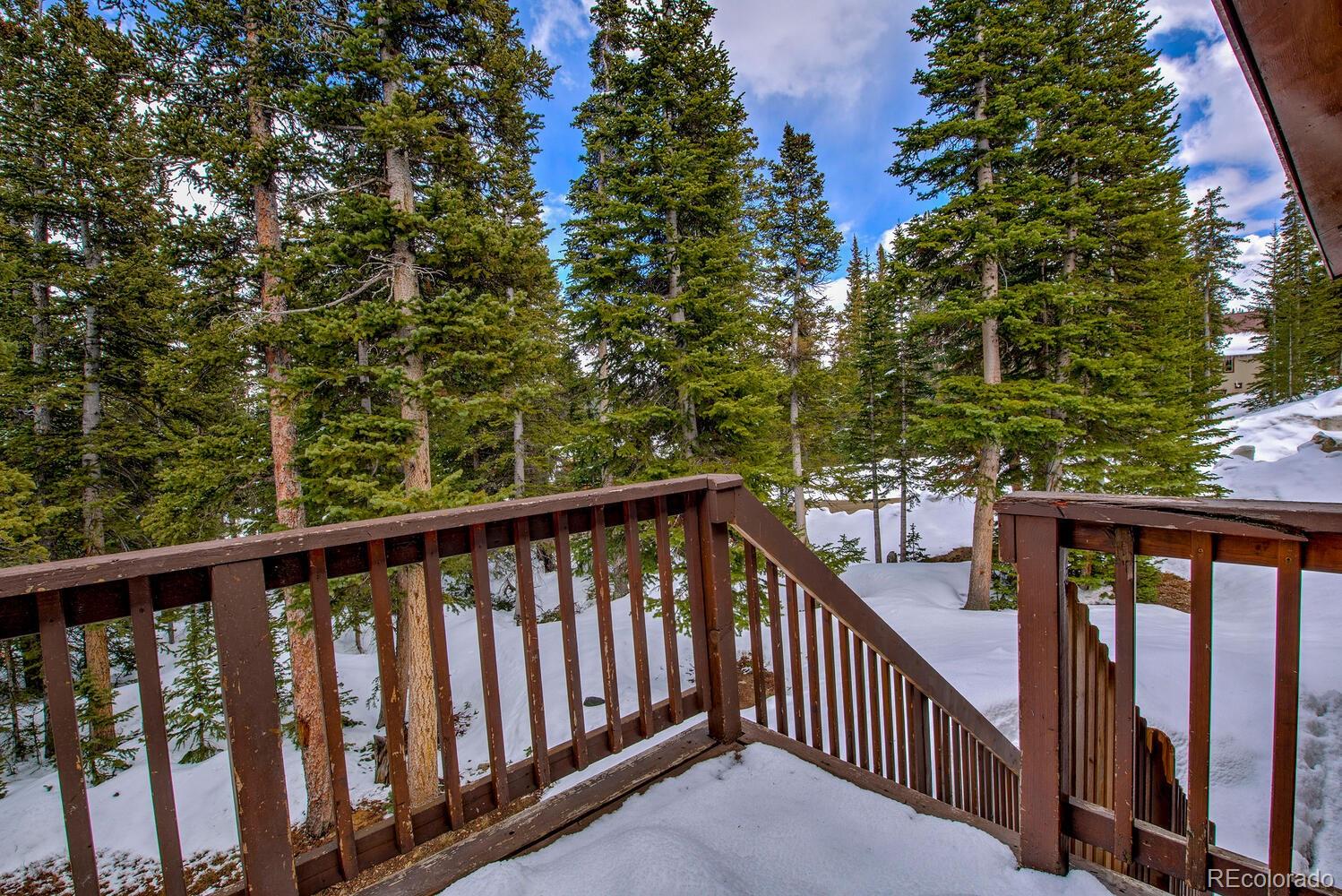 MLS Image #46 for 492  kimmes lane,breckenridge, Colorado