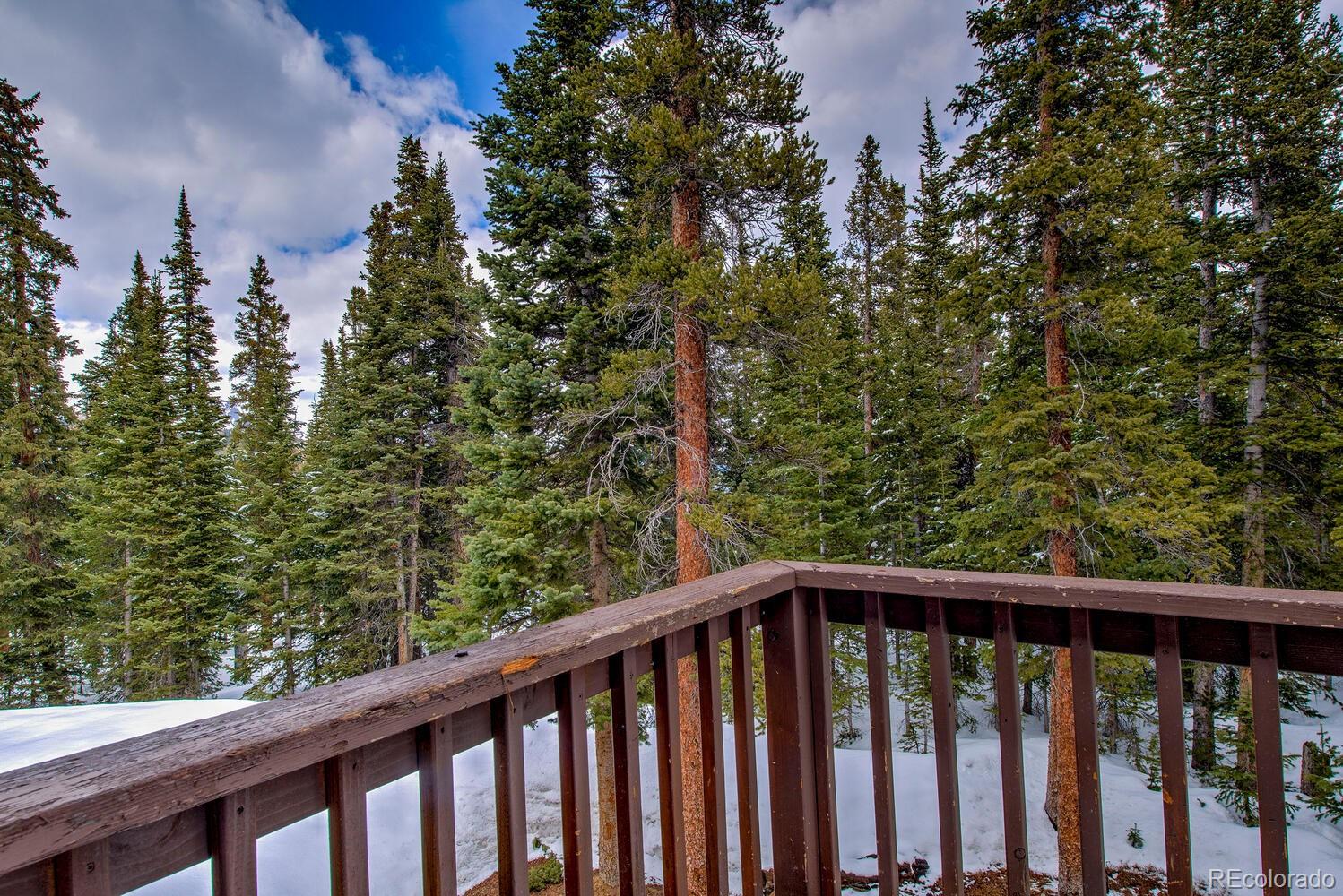 MLS Image #47 for 492  kimmes lane,breckenridge, Colorado