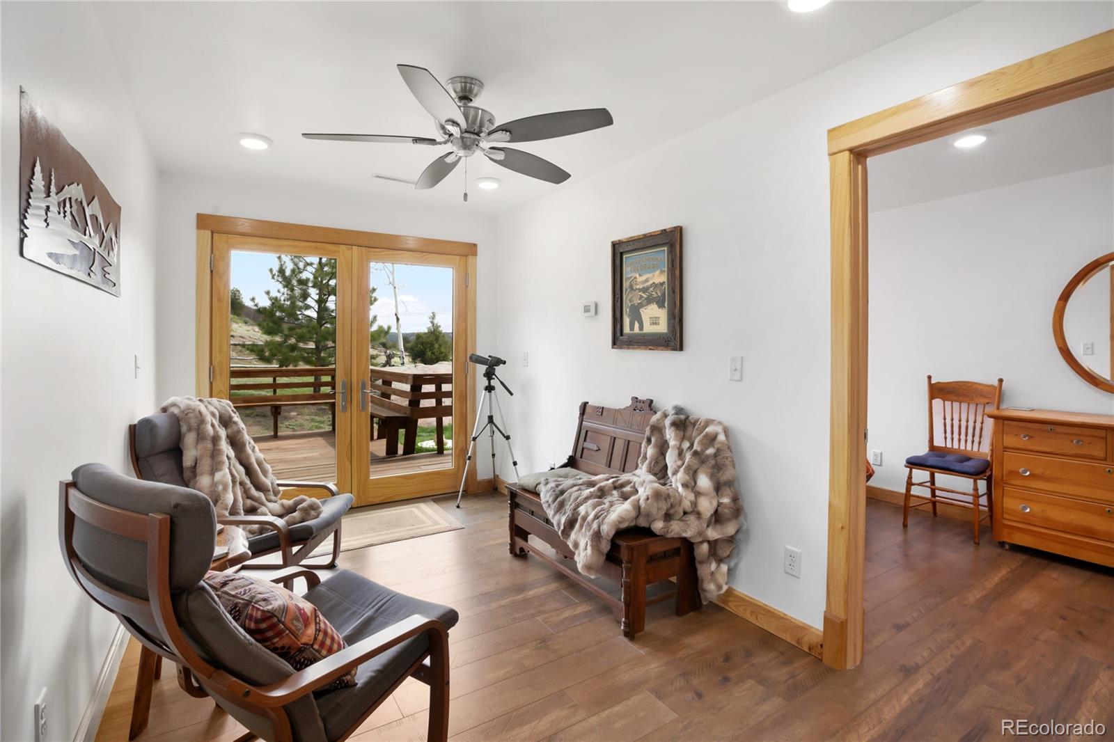 MLS Image #11 for 437  langnis road,guffey, Colorado