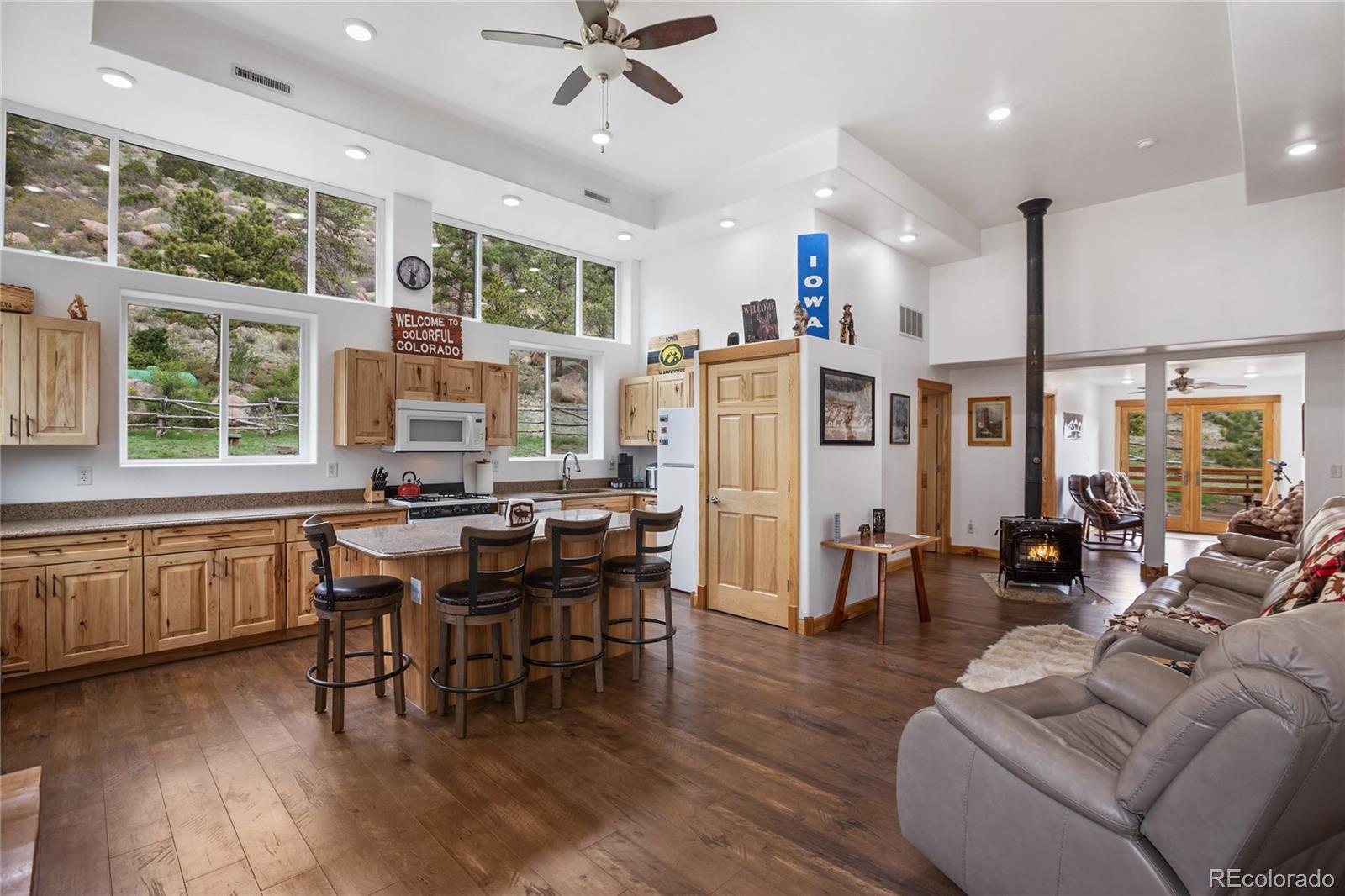 MLS Image #13 for 437  langnis road,guffey, Colorado