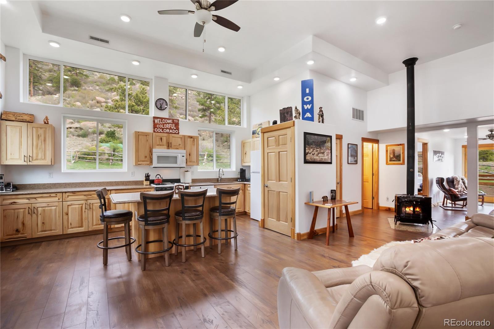 MLS Image #15 for 437  langnis road,guffey, Colorado