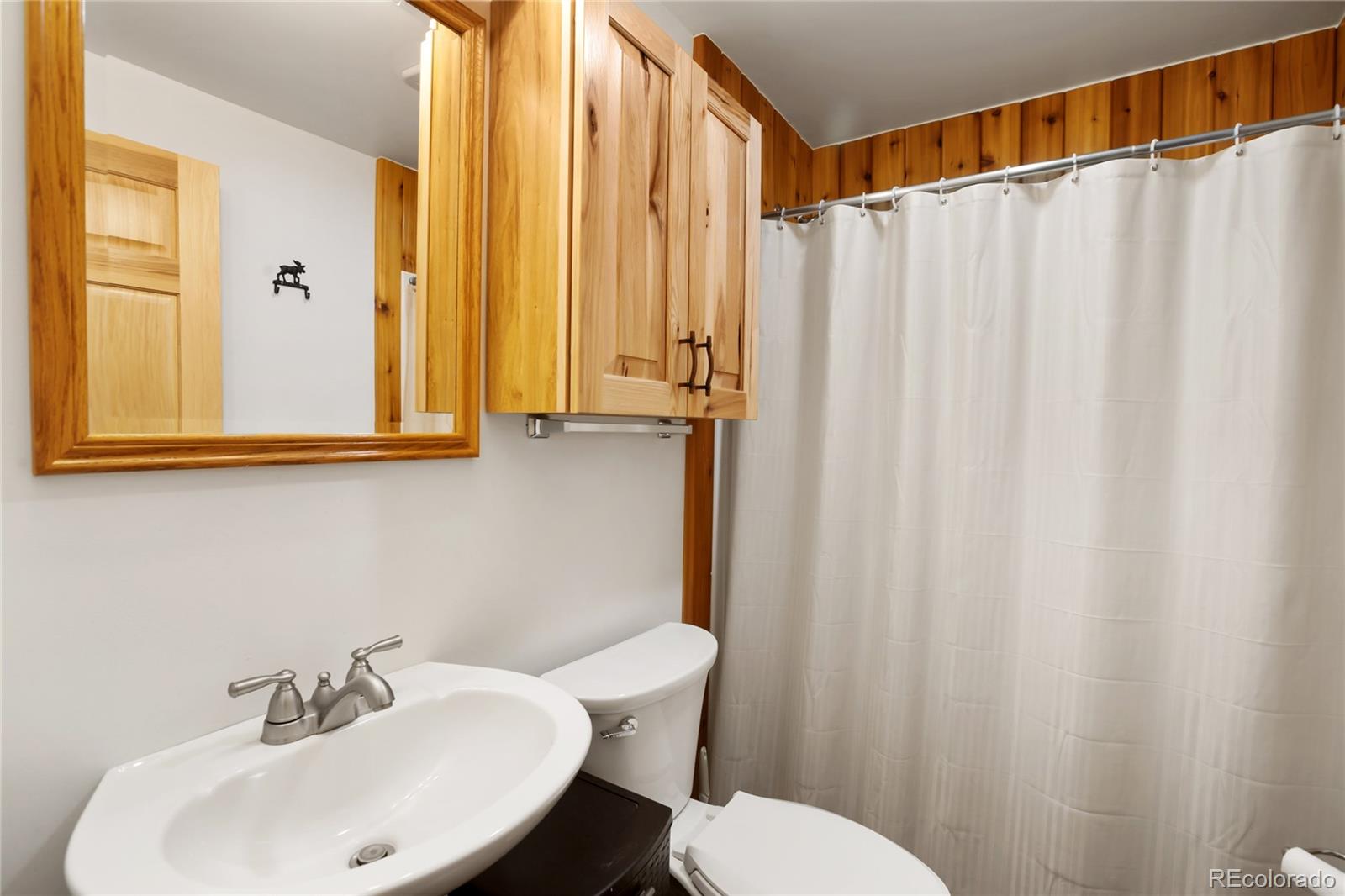 MLS Image #23 for 437  langnis road,guffey, Colorado