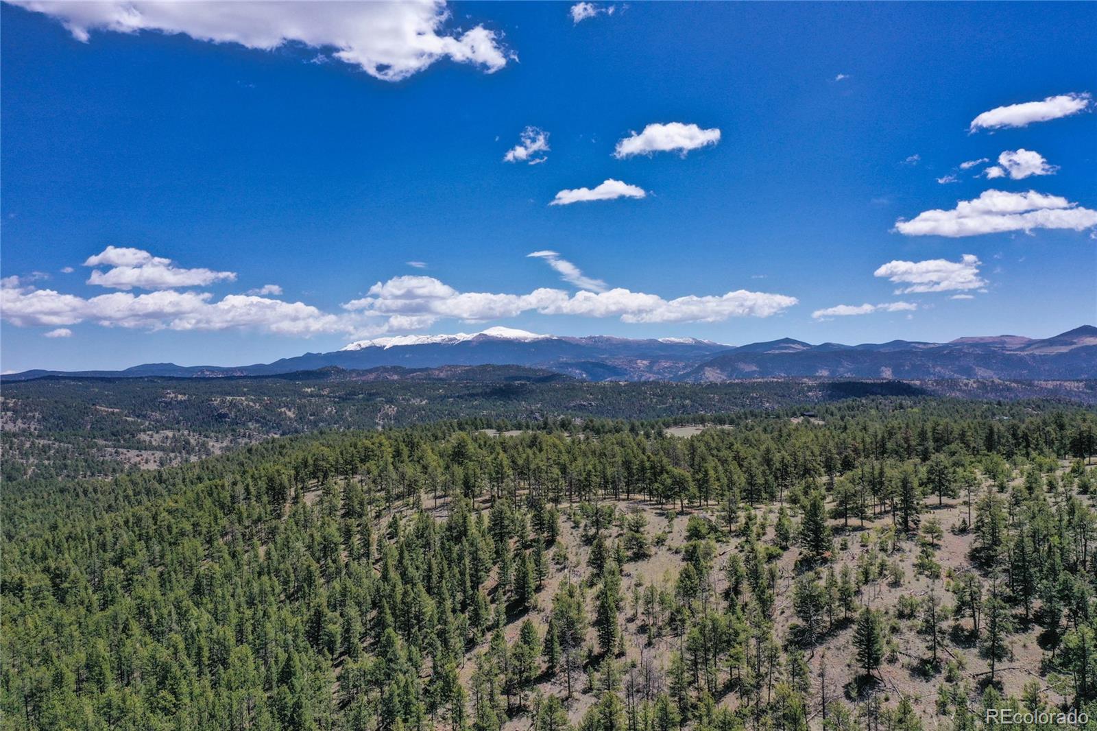 MLS Image #25 for 437  langnis road,guffey, Colorado