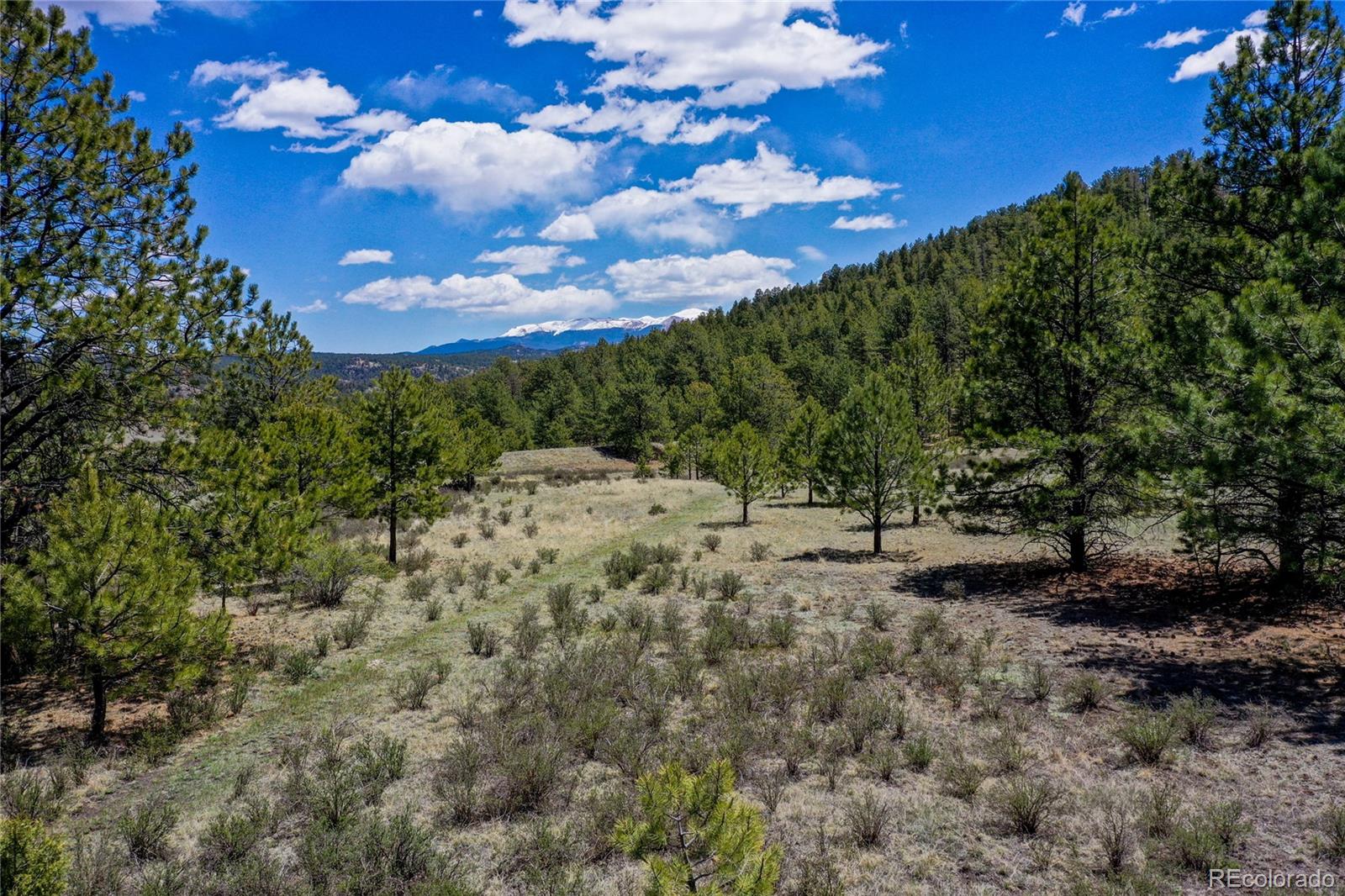 MLS Image #30 for 437  langnis road,guffey, Colorado