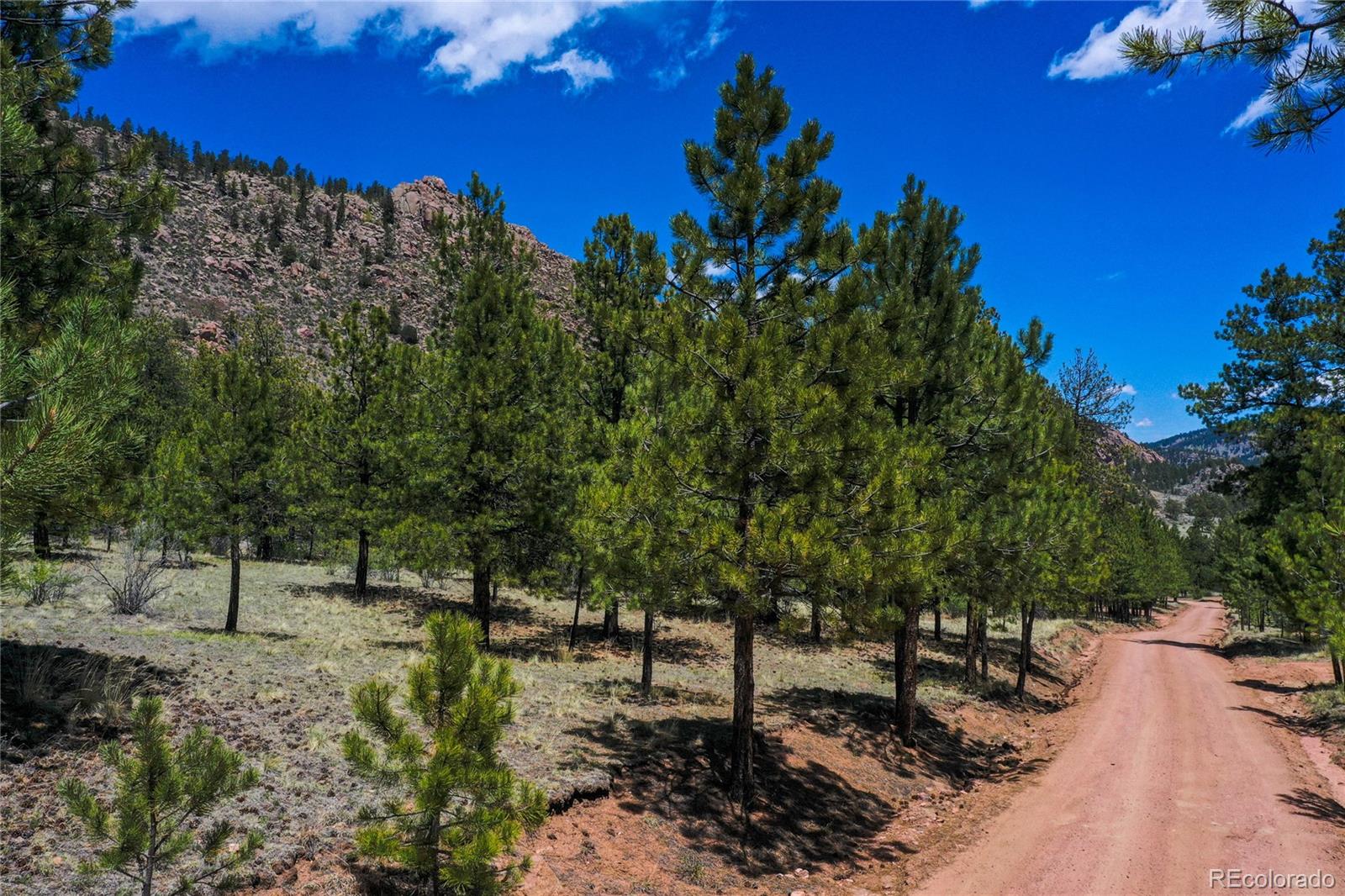 MLS Image #31 for 437  langnis road,guffey, Colorado