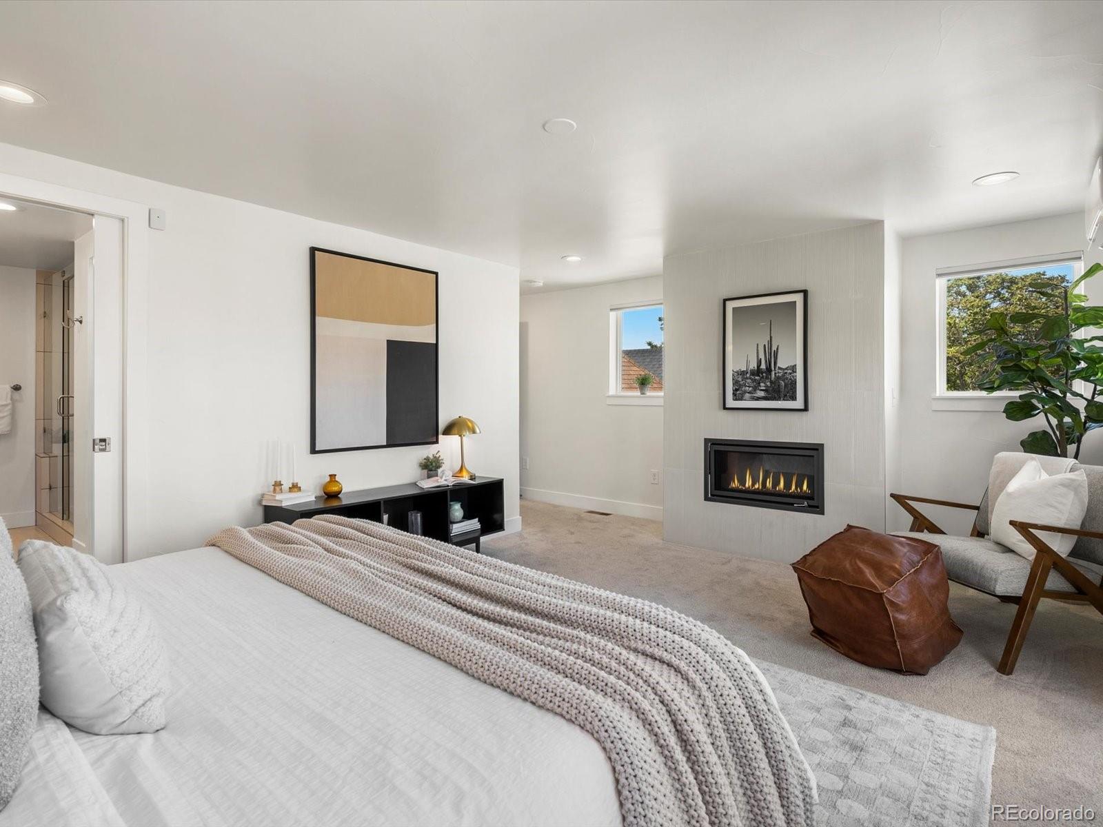 MLS Image #23 for 3640  lipan street,denver, Colorado
