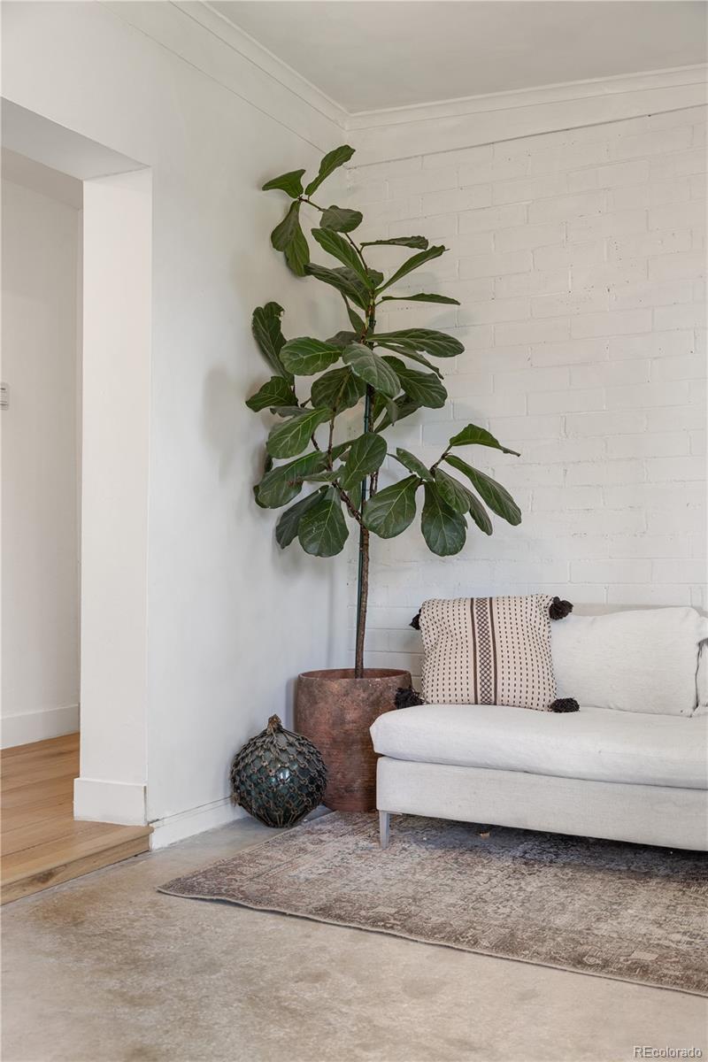 MLS Image #9 for 4567  grove street,denver, Colorado