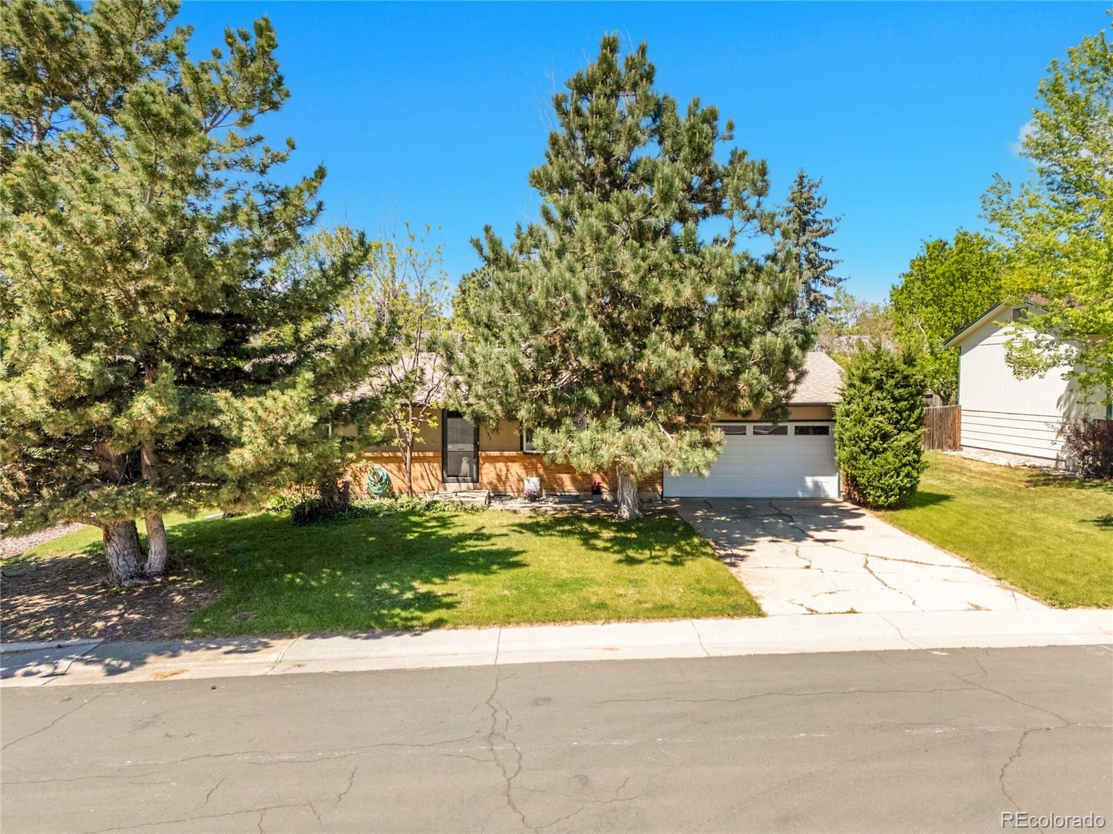MLS Image #40 for 13133  regulus drive,lone tree, Colorado