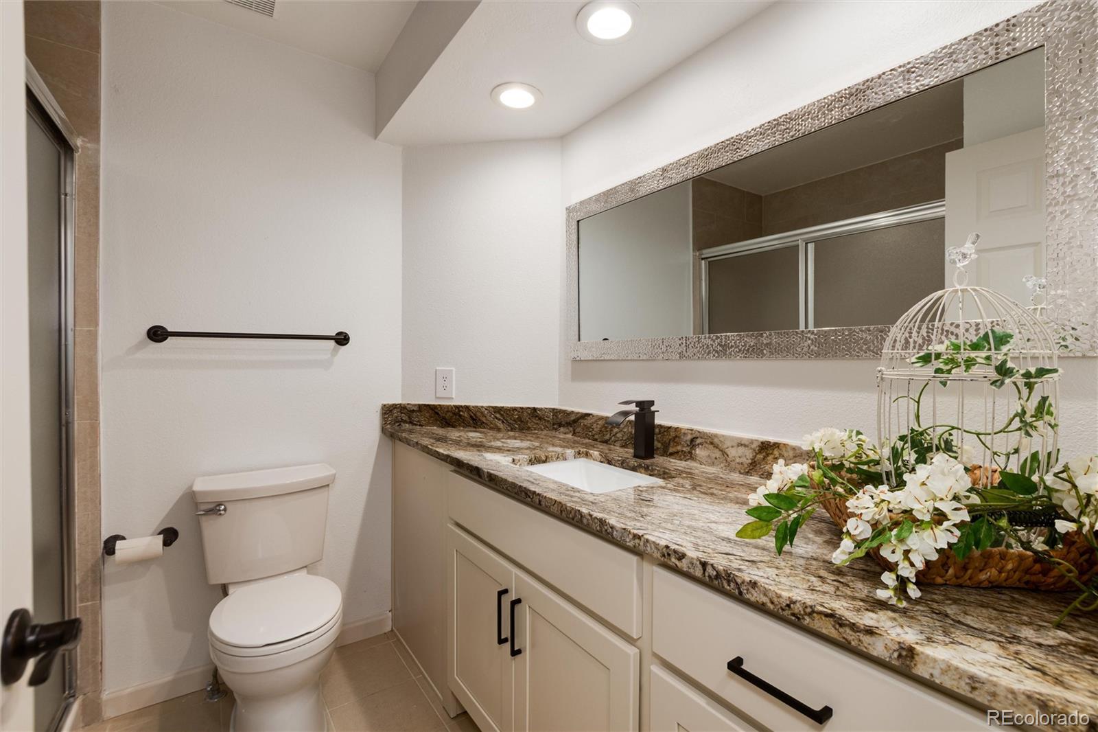 MLS Image #9 for 8543  redstone street,highlands ranch, Colorado