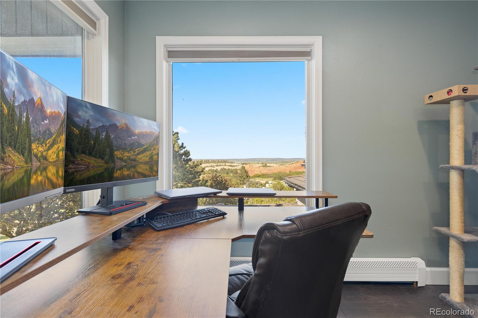 MLS Image #20 for 11039  roxborough drive,littleton, Colorado