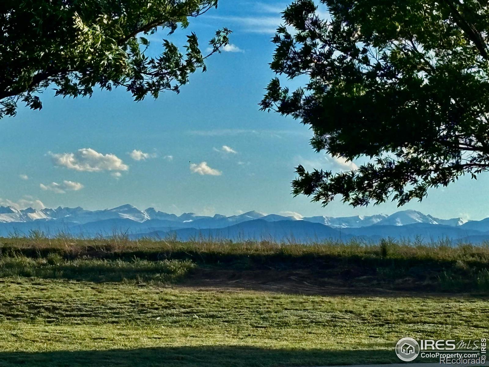 MLS Image #1 for 6722  grainery road,timnath, Colorado