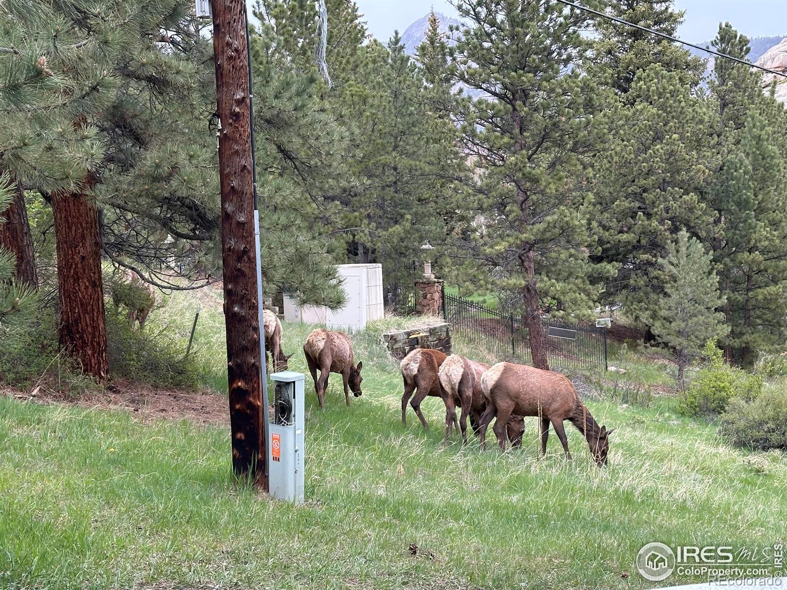 MLS Image #26 for 492  macgregor avenue,estes park, Colorado