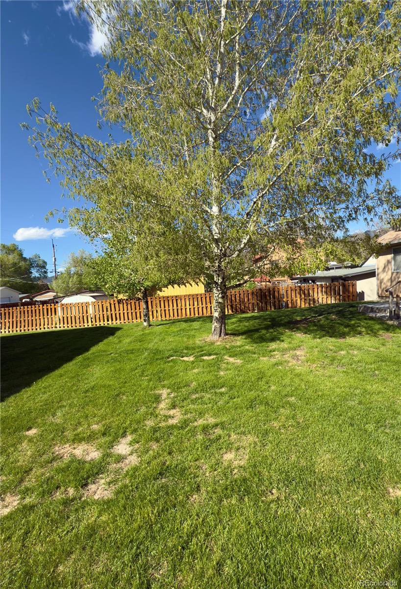 MLS Image #14 for 1436  h street,salida, Colorado