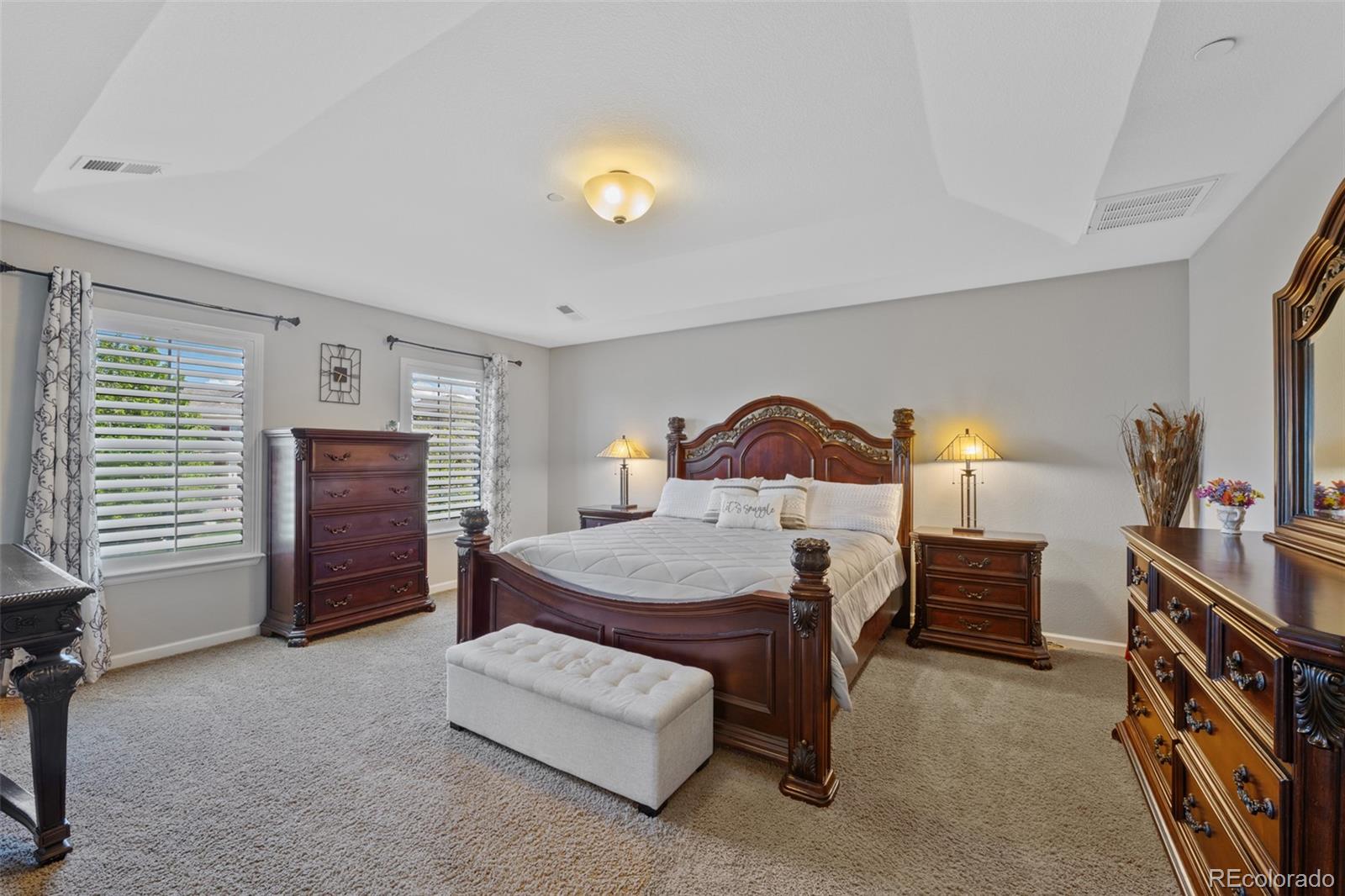 MLS Image #19 for 12015  blackwell way,parker, Colorado