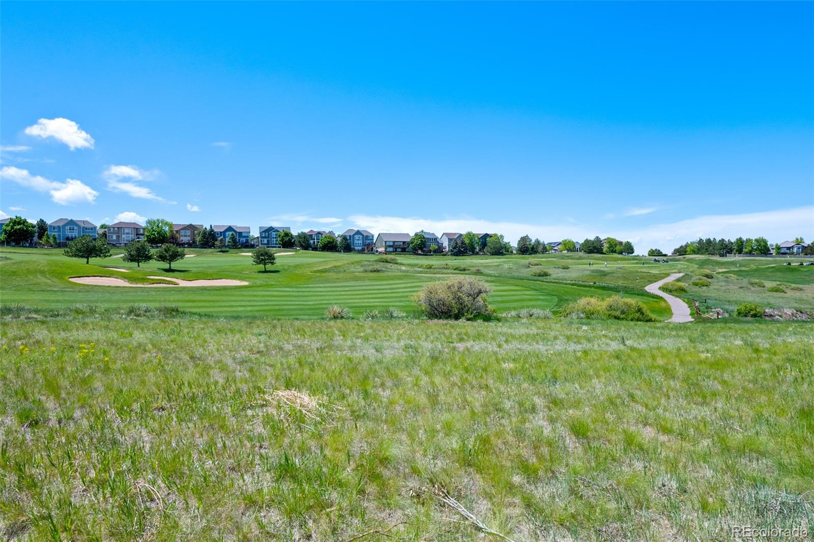 MLS Image #36 for 12015  blackwell way,parker, Colorado