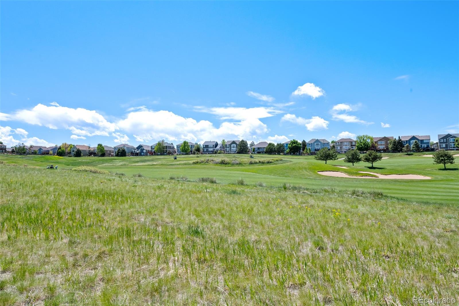 MLS Image #37 for 12015  blackwell way,parker, Colorado