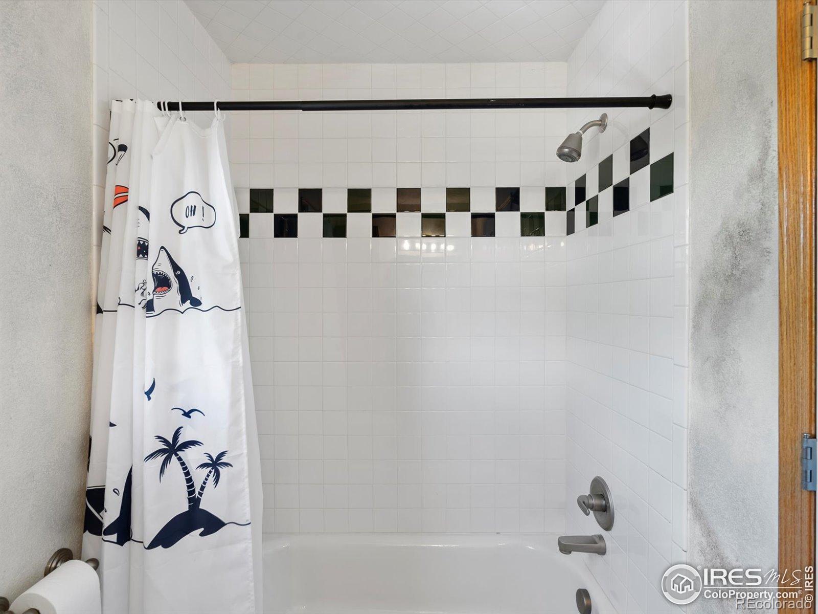 MLS Image #23 for 101 se 2nd street,berthoud, Colorado