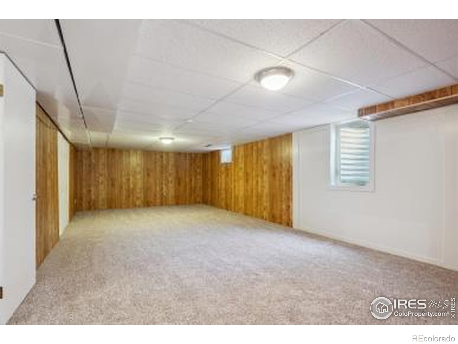 MLS Image #12 for 1610  vivian street,longmont, Colorado