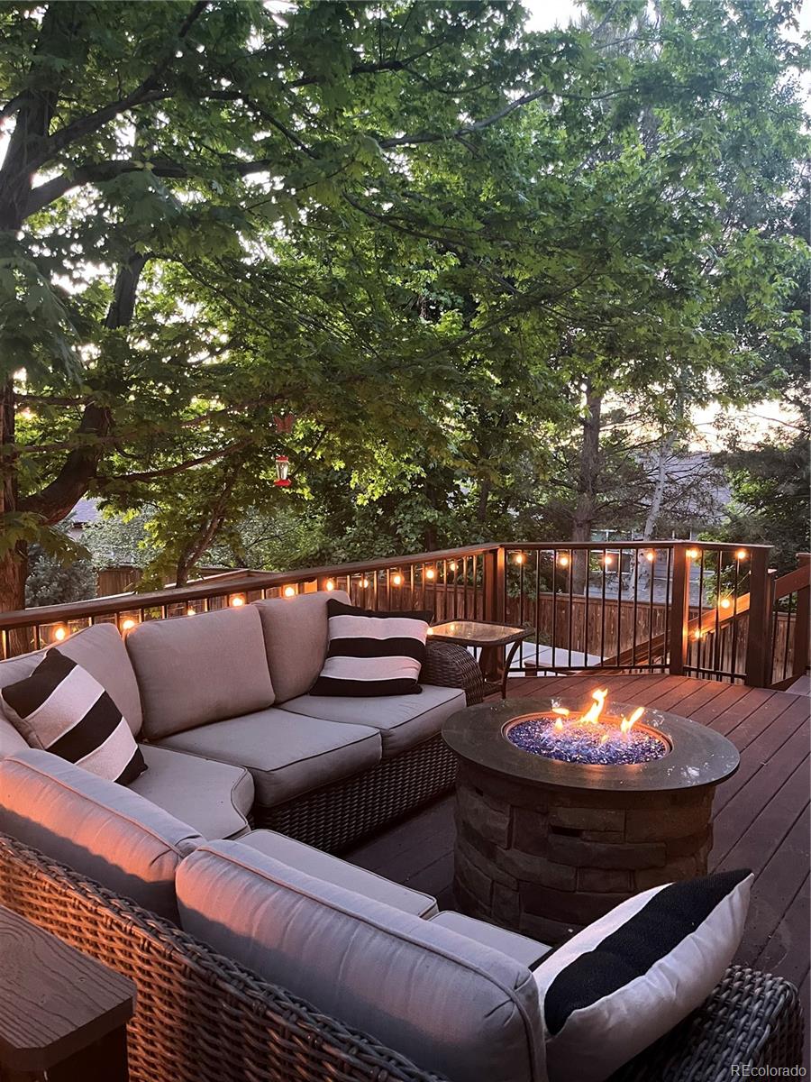 MLS Image #45 for 10345  lions heart ,lone tree, Colorado